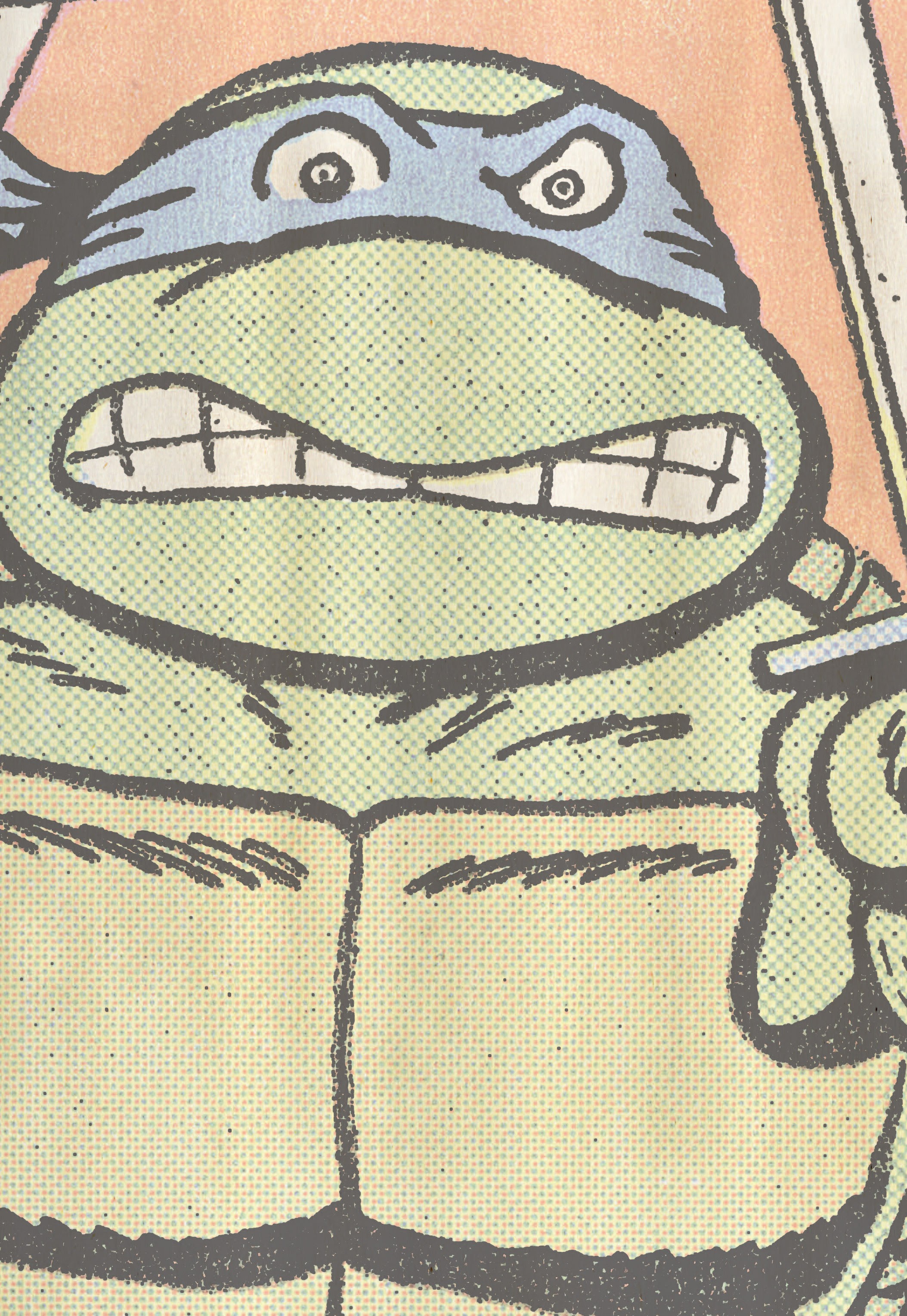 Read online Teenage Mutant Ninja Turtles Adventures (2012) comic -  Issue # TPB 1 - 62