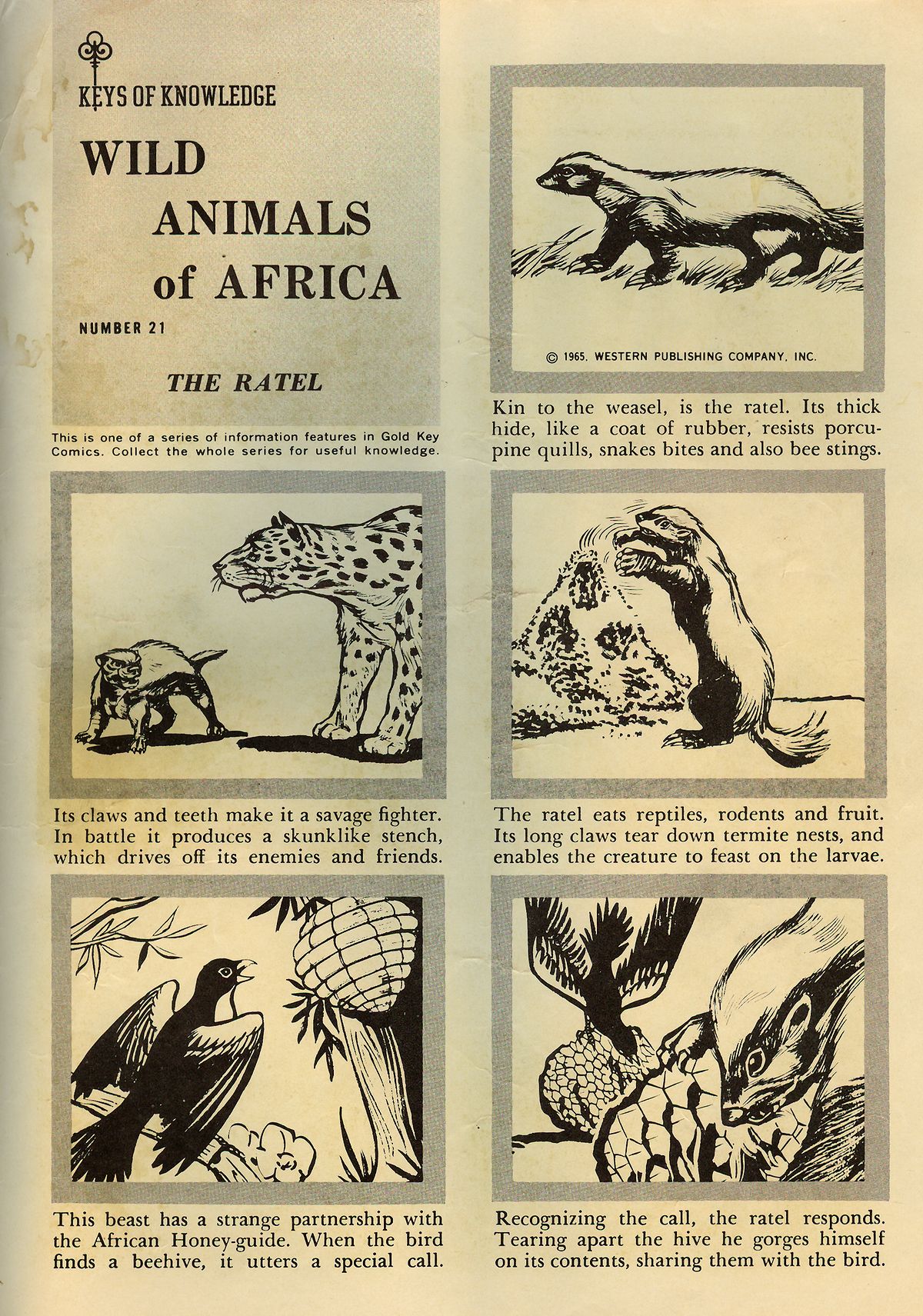 Read online Boris Karloff Tales of Mystery comic -  Issue #12 - 35