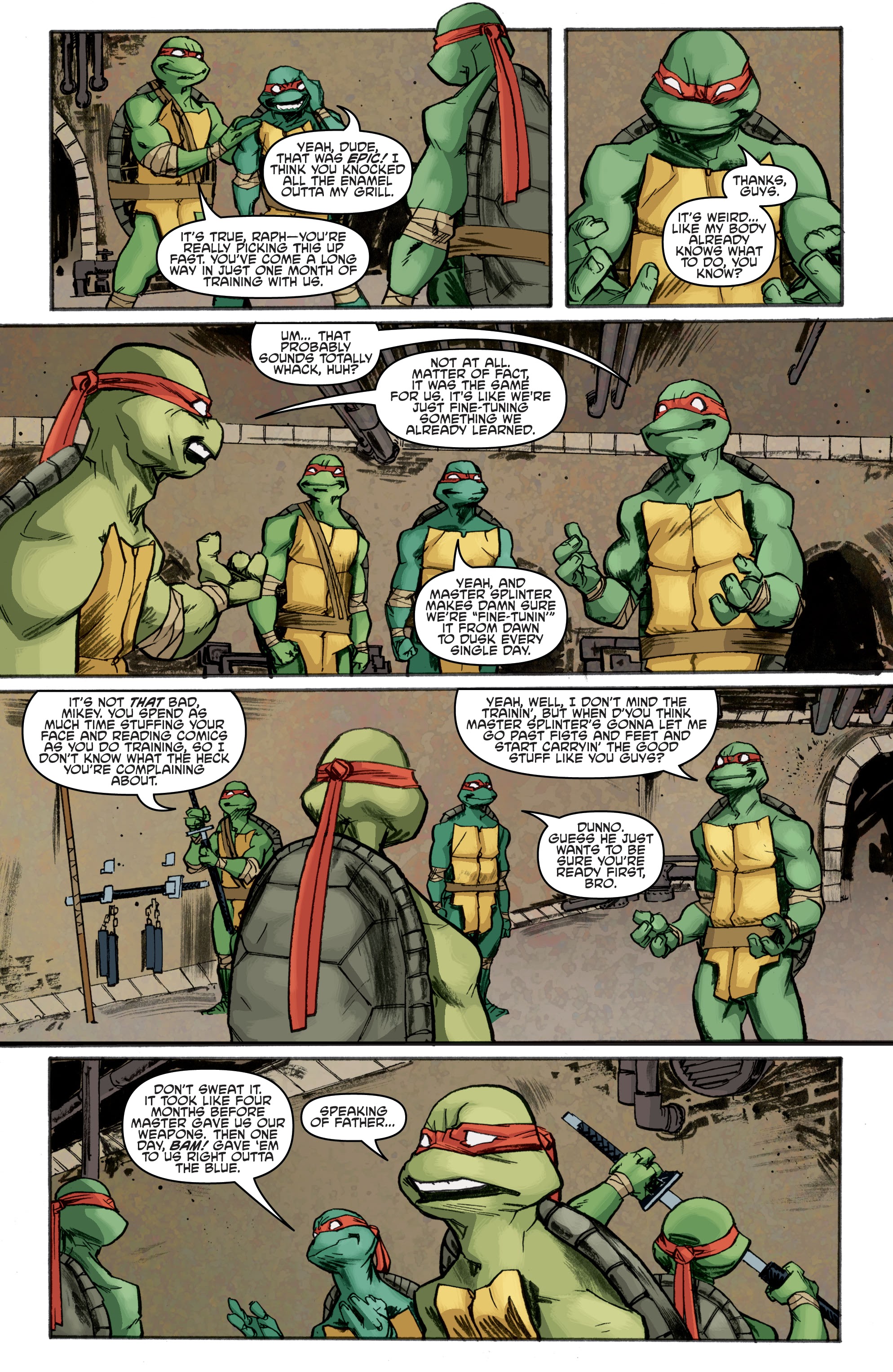Read online Teenage Mutant Ninja Turtles: Best Of comic -  Issue # Splinter - 56