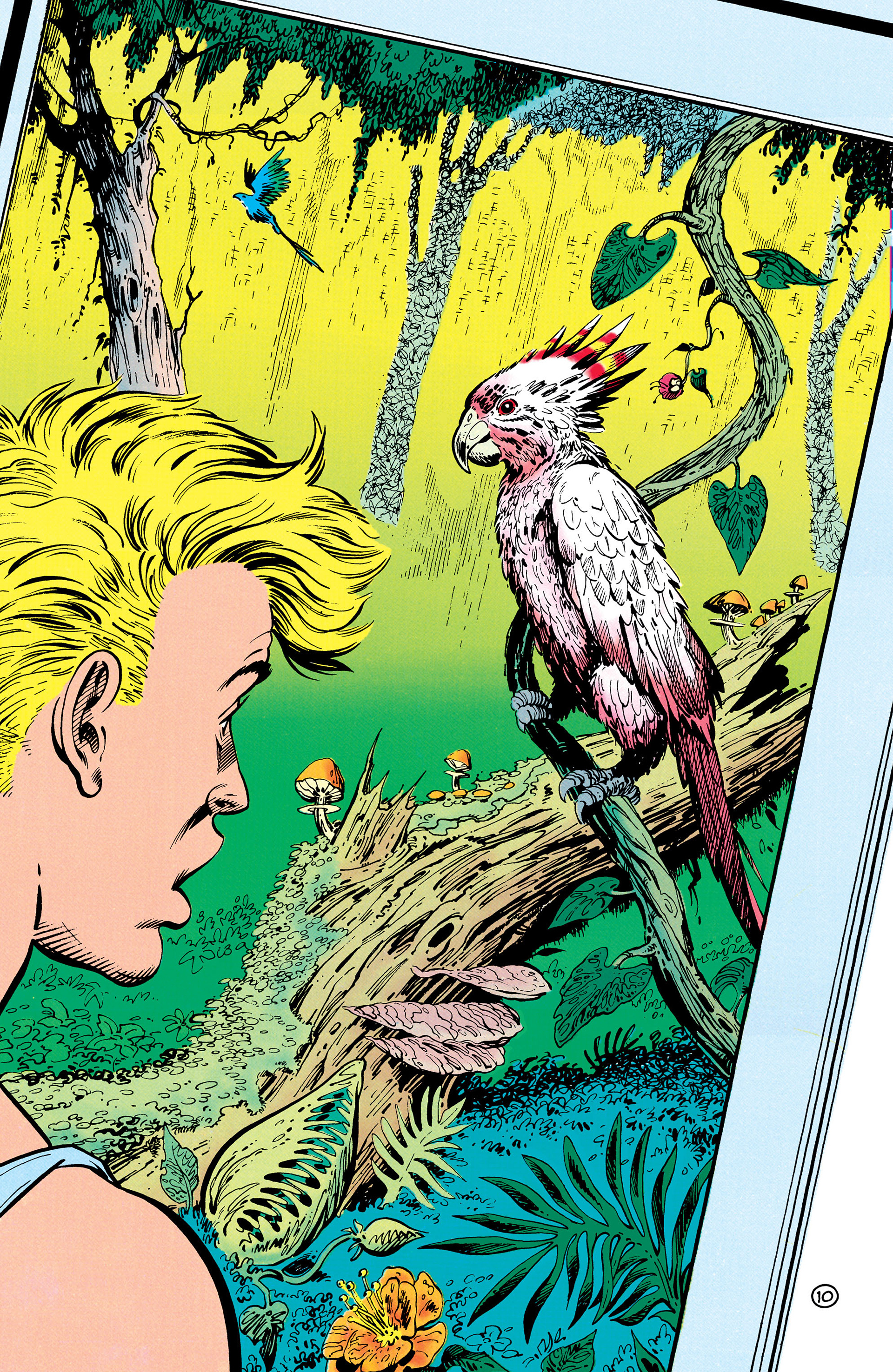Read online Animal Man (1988) comic -  Issue #27 - 10