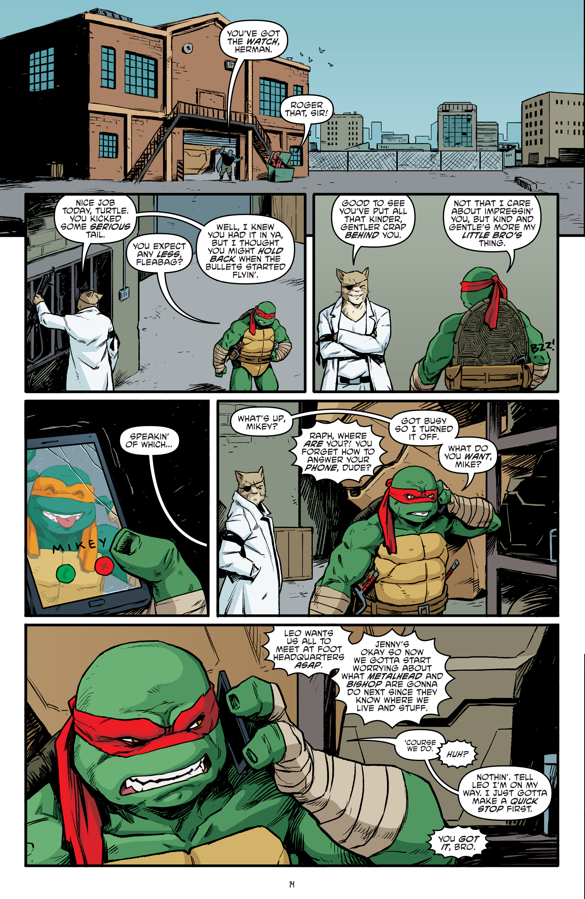 Read online Teenage Mutant Ninja Turtles (2011) comic -  Issue #96 - 16