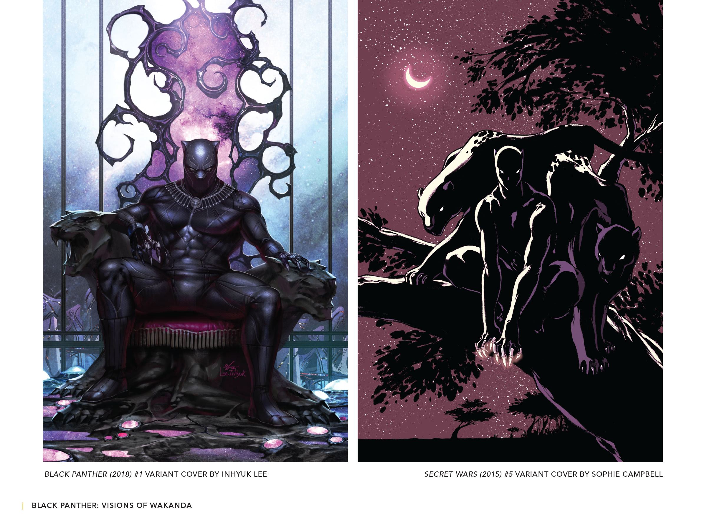 Read online Black Panther: Visions of Wakanda comic -  Issue # TPB (Part 4) - 50