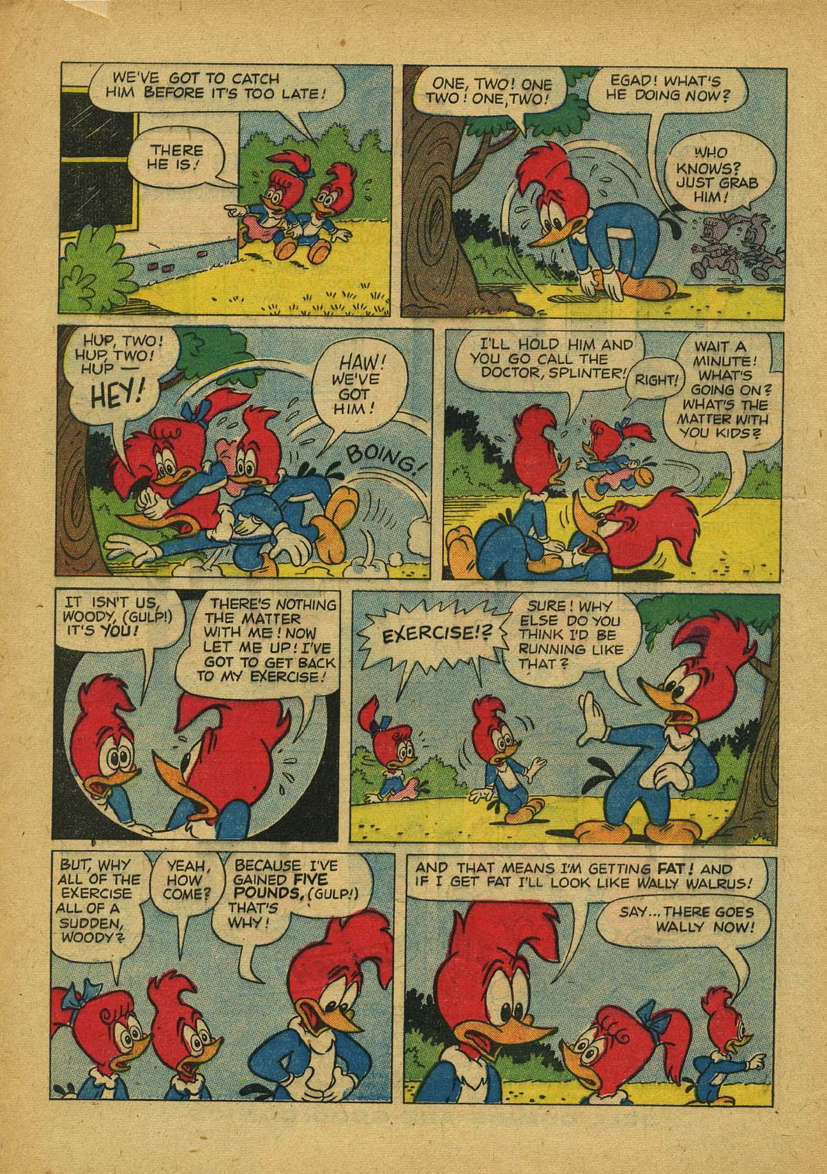 Read online Walter Lantz Woody Woodpecker (1952) comic -  Issue #45 - 4