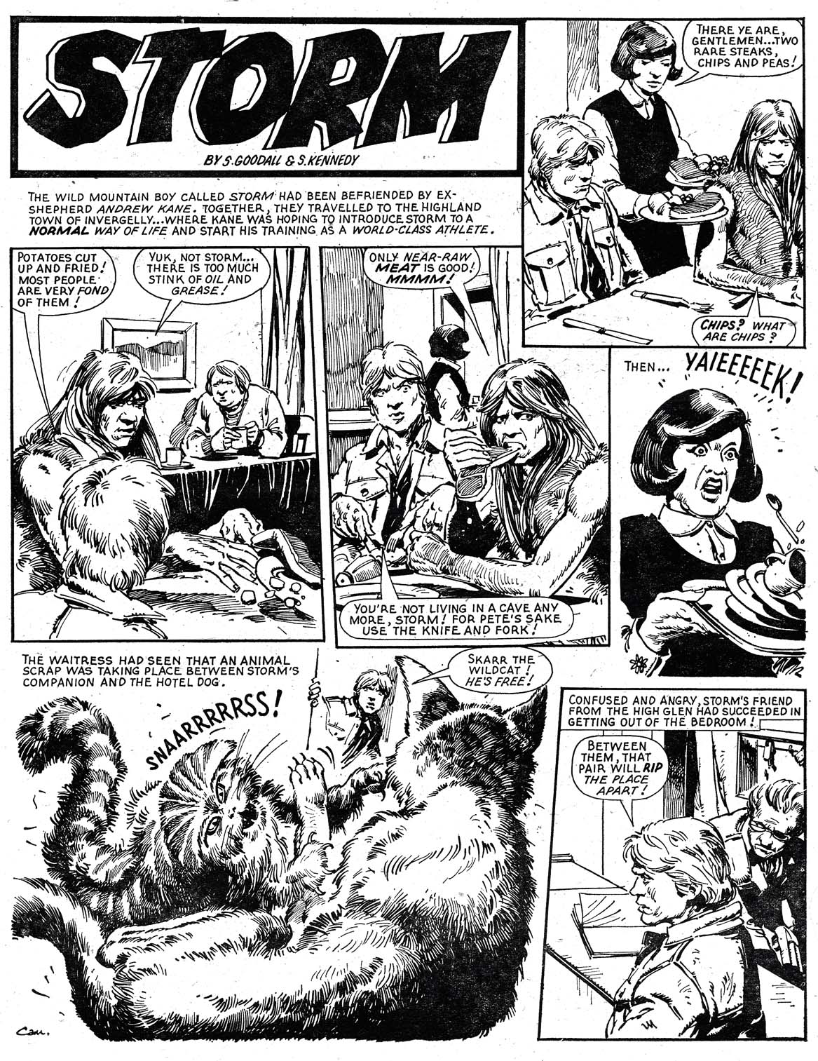Read online Tornado comic -  Issue #11 - 22