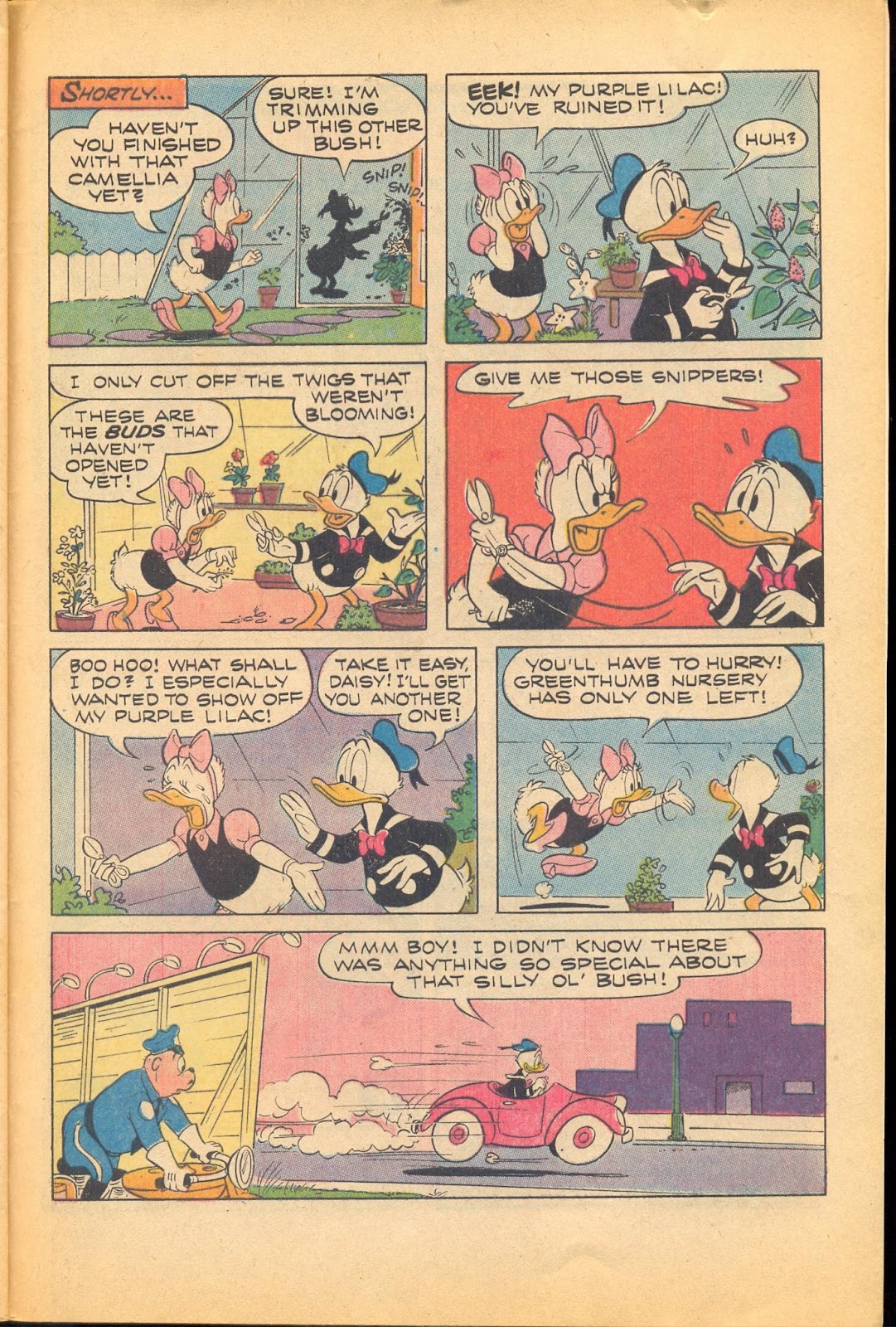 Walt Disney's Mickey Mouse issue 133 - Page 29