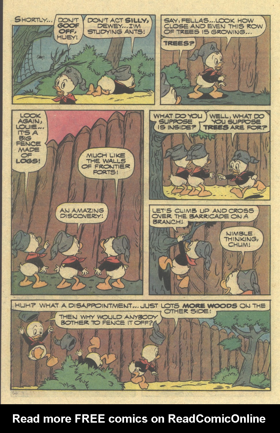 Read online Huey, Dewey, and Louie Junior Woodchucks comic -  Issue #71 - 28