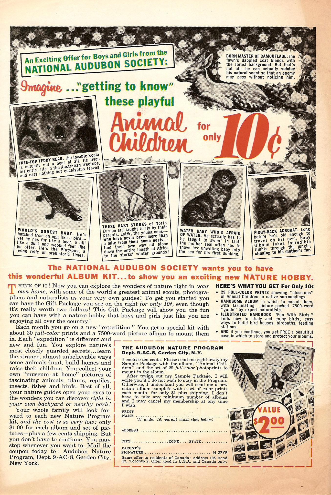 Read online Archie Comics comic -  Issue #104 - 36