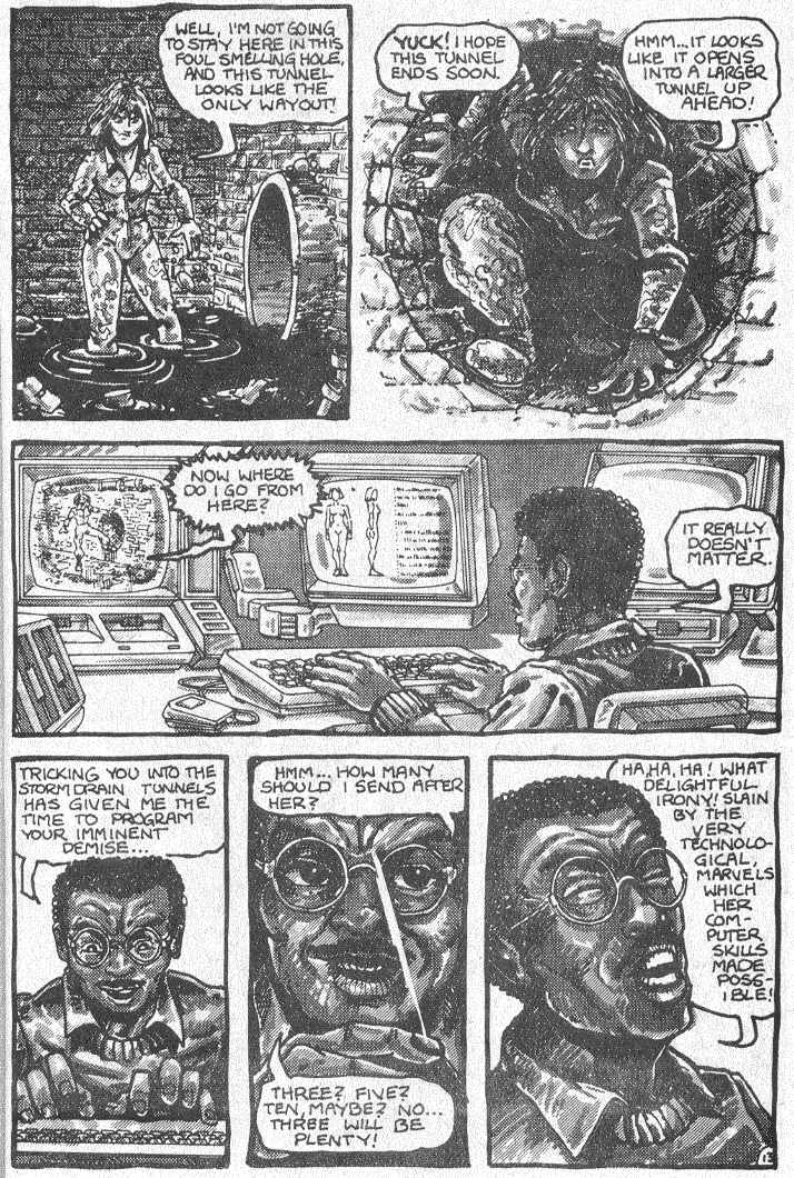 Teenage Mutant Ninja Turtles (1984) Issue #2 #2 - English 15
