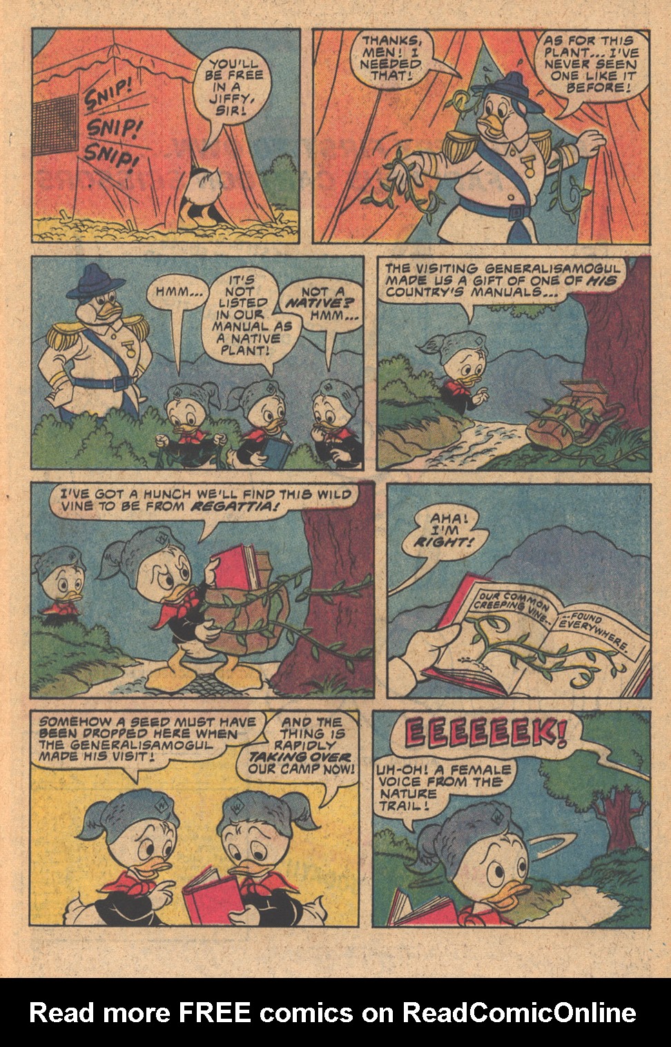 Read online Huey, Dewey, and Louie Junior Woodchucks comic -  Issue #63 - 17