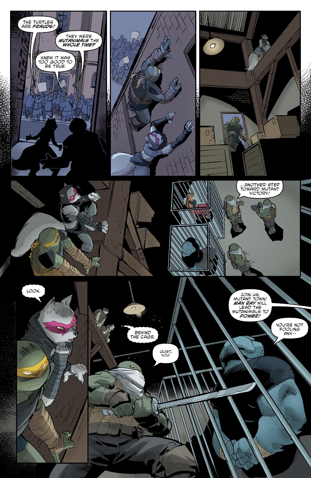 Teenage Mutant Ninja Turtles (2011) issue 135 - Page 14
