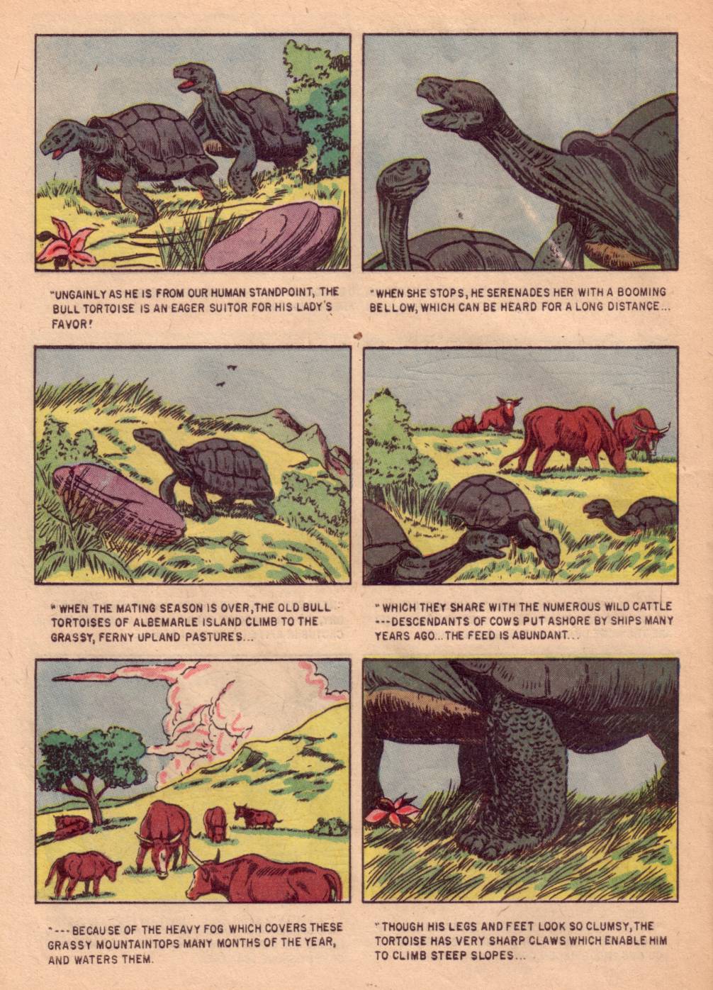 Read online Four Color Comics comic -  Issue #662 - 28