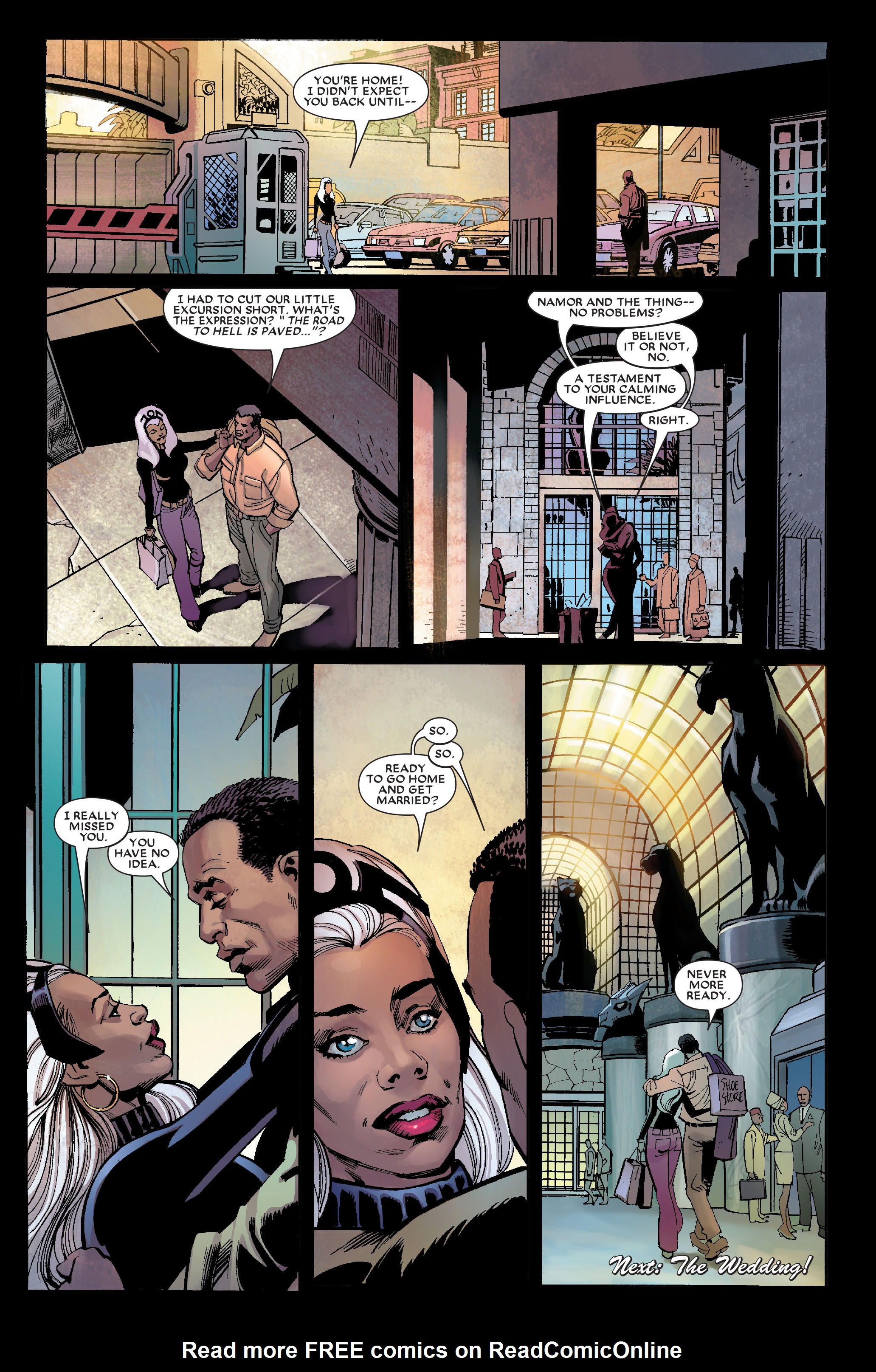 Read online Black Panther: The Bride comic -  Issue # TPB - 100