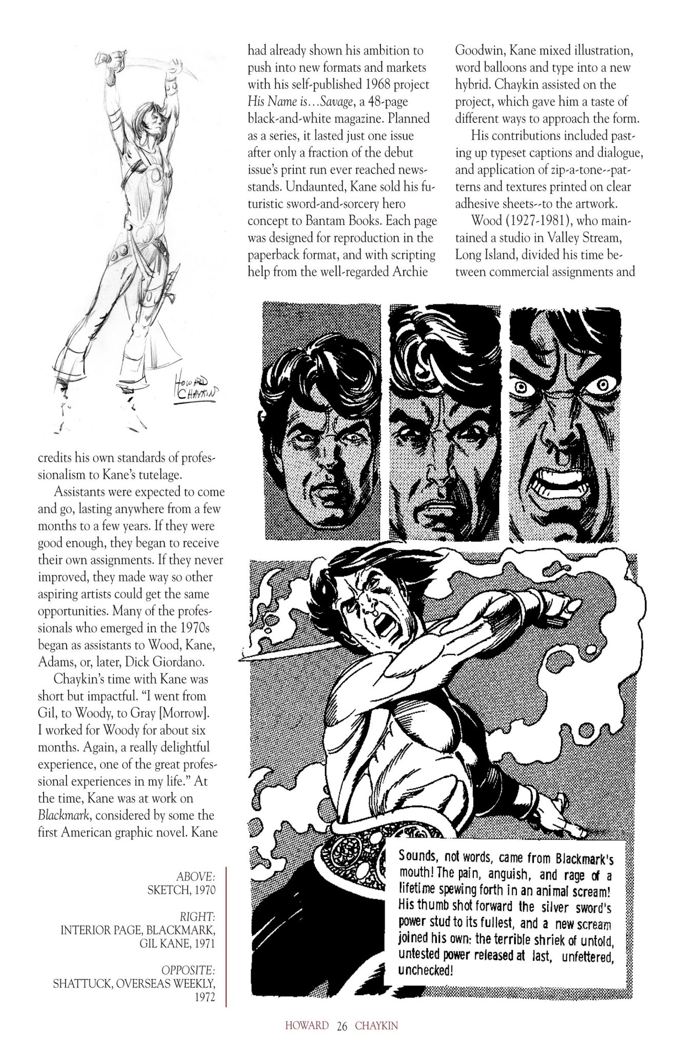 Read online The Art of Howard Chaykin comic -  Issue # TPB (Part 1) - 27