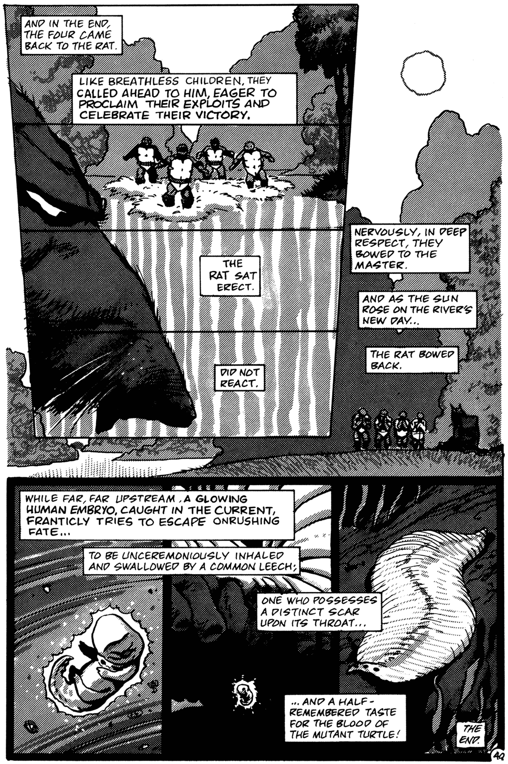 Read online Teenage Mutant Ninja Turtles (1984) comic -  Issue #26 - 42