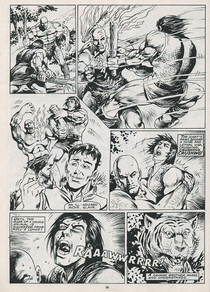 The Savage Sword Of Conan issue 215 - Page 38