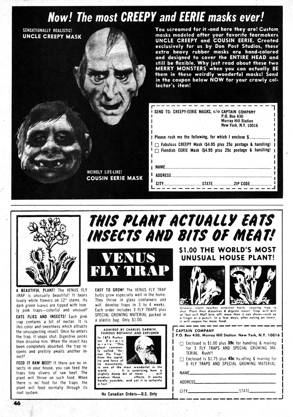 Read online Vampirella (1969) comic -  Issue #16 - 46