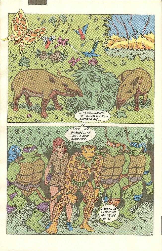 Read online Teenage Mutant Ninja Turtles Adventures (1989) comic -  Issue #14 - 27