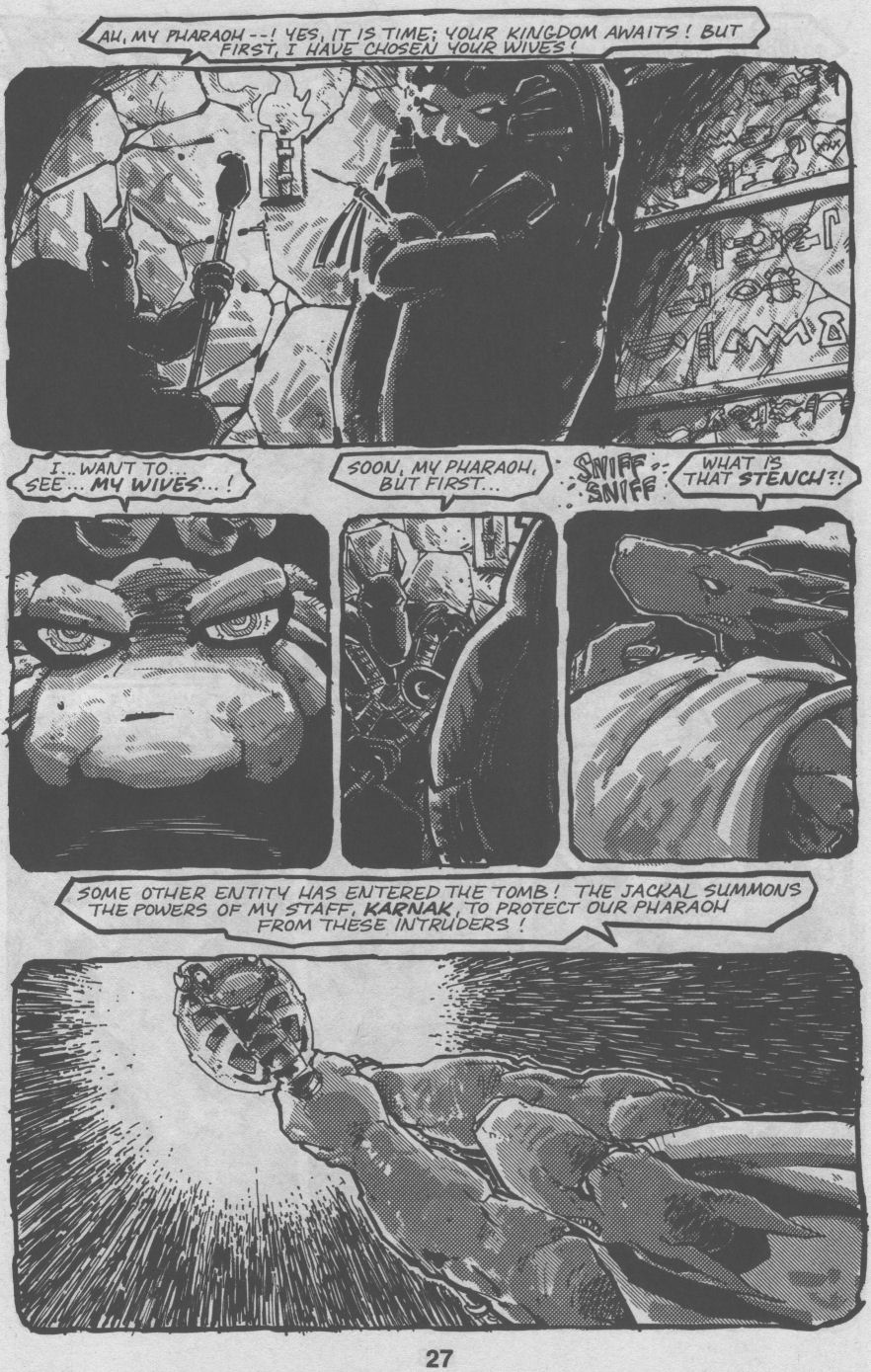 Teenage Mutant Ninja Turtles (1984) Issue #32 #32 - English 27