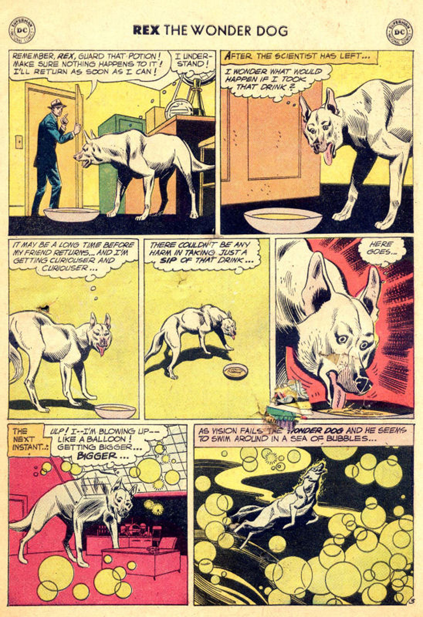 The Adventures of Rex the Wonder Dog issue 45 - Page 5