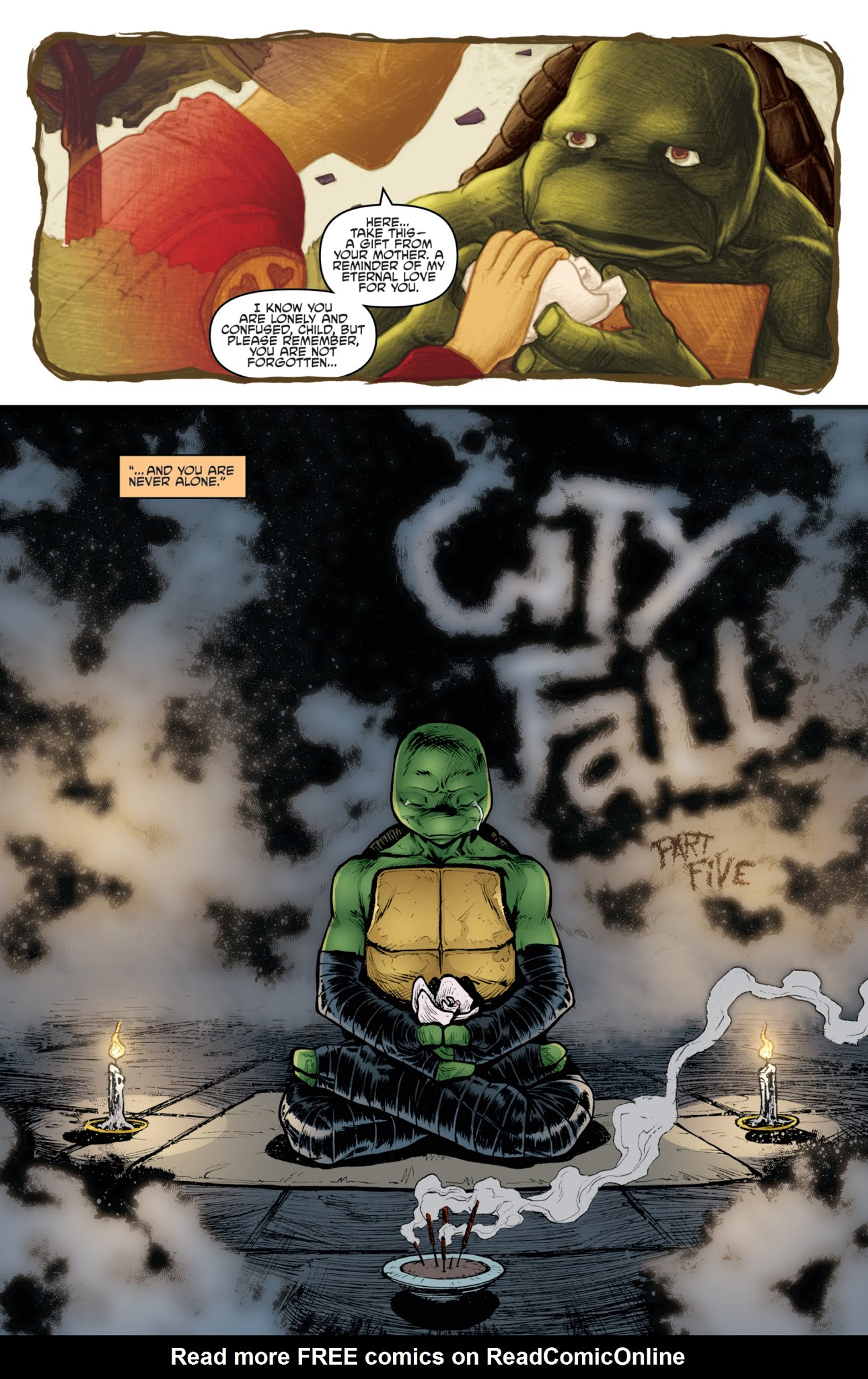 Read online Teenage Mutant Ninja Turtles: The IDW Collection comic -  Issue # TPB 3 (Part 3) - 85
