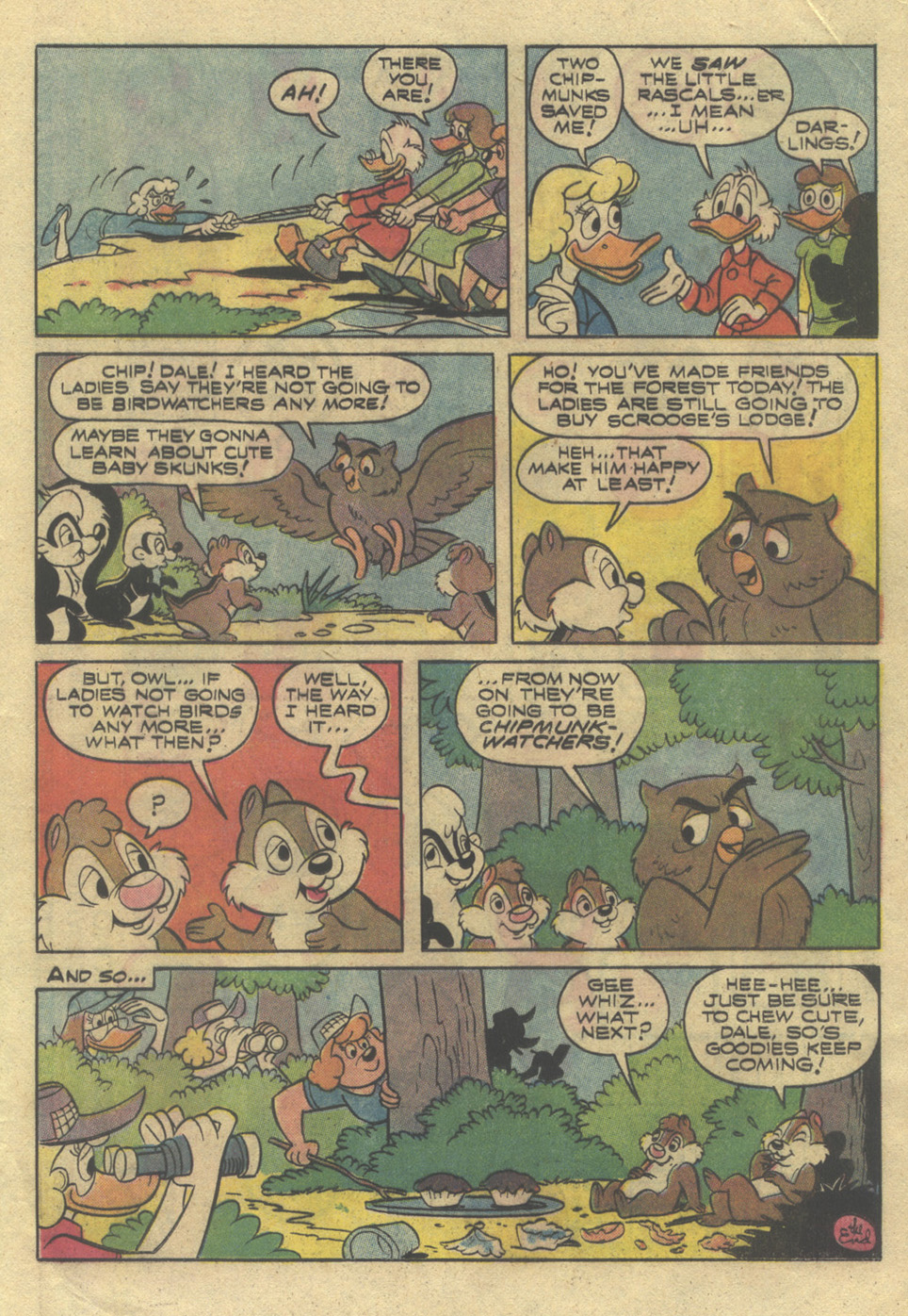 Read online Walt Disney Chip 'n' Dale comic -  Issue #39 - 17