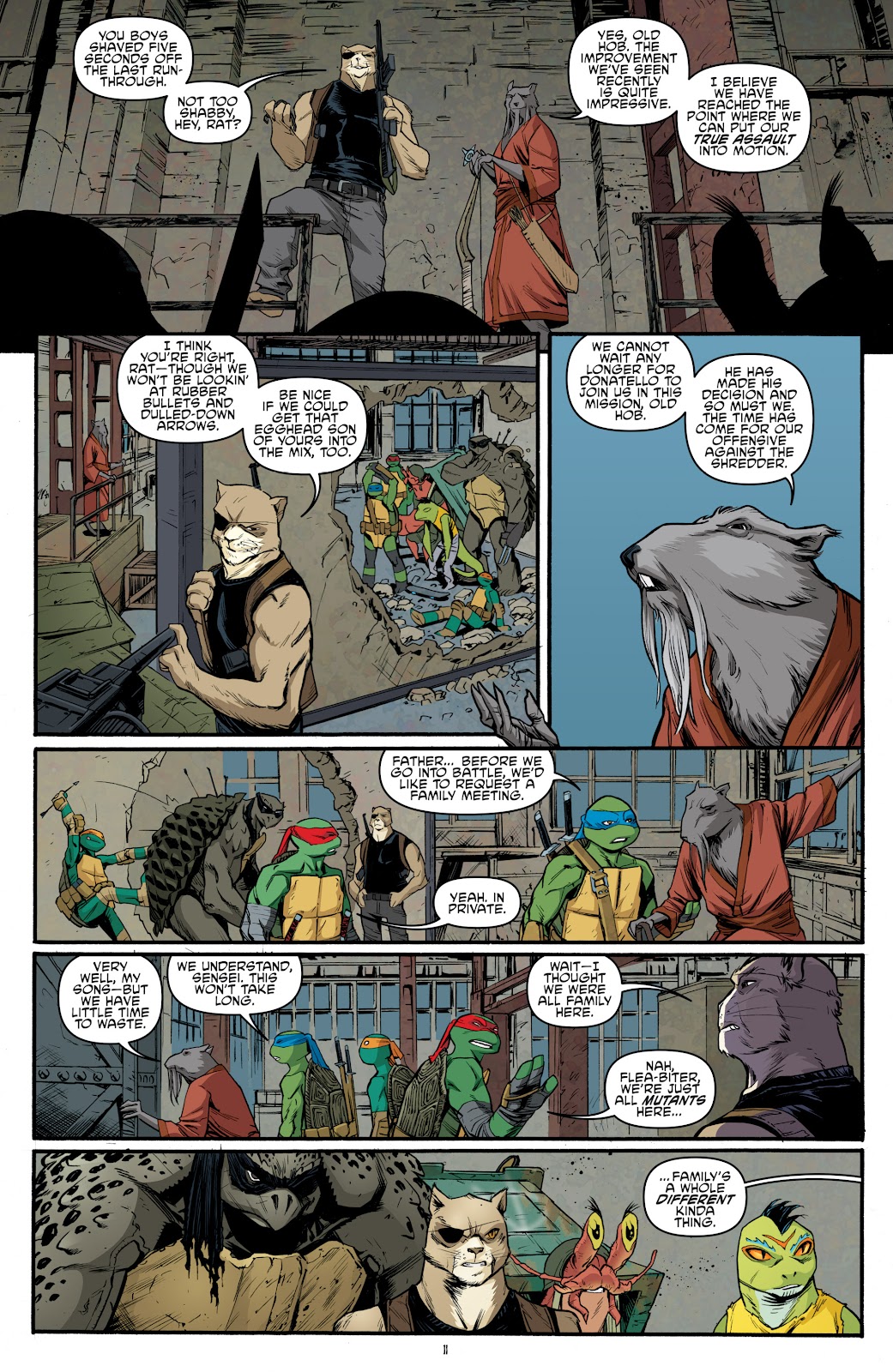 Teenage Mutant Ninja Turtles (2011) issue 41 - Page 14
