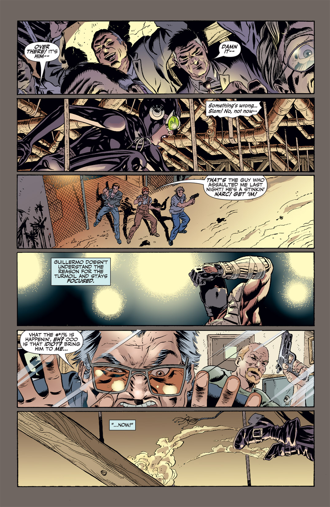 Read online Catwoman (2002) comic -  Issue #42 - 14