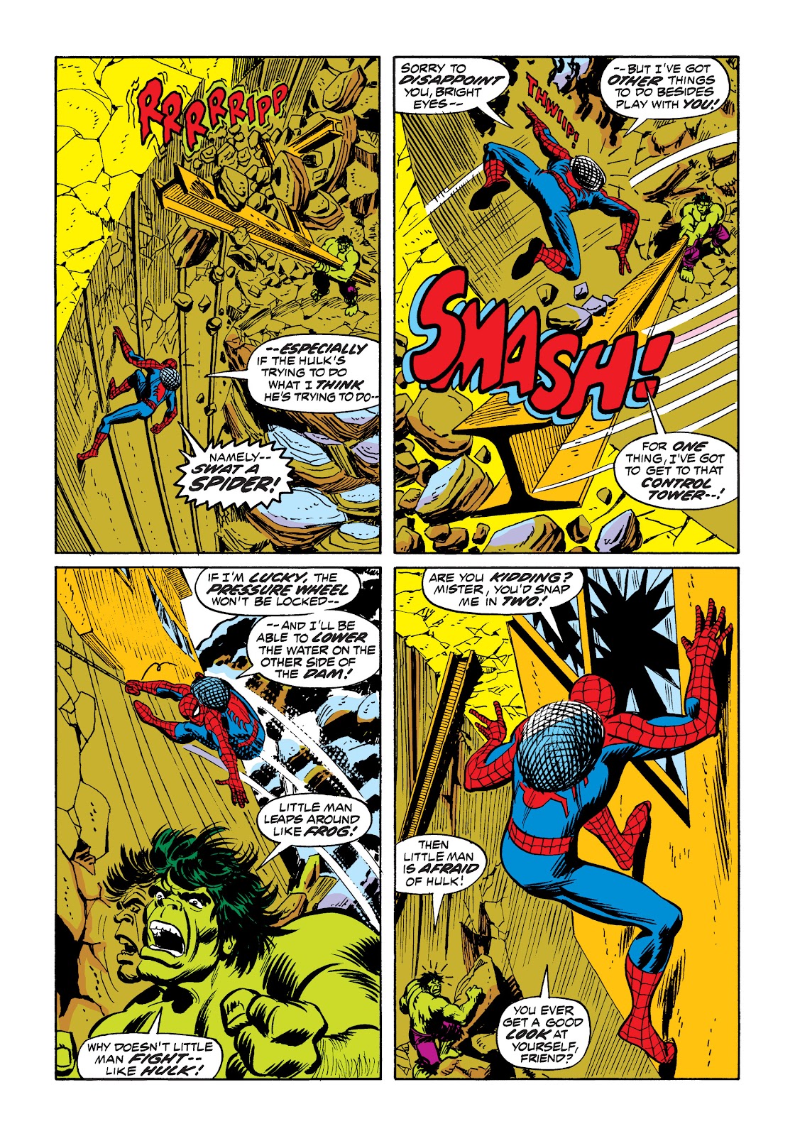 The Amazing Spider-Man (1963) issue 119 - Page 19