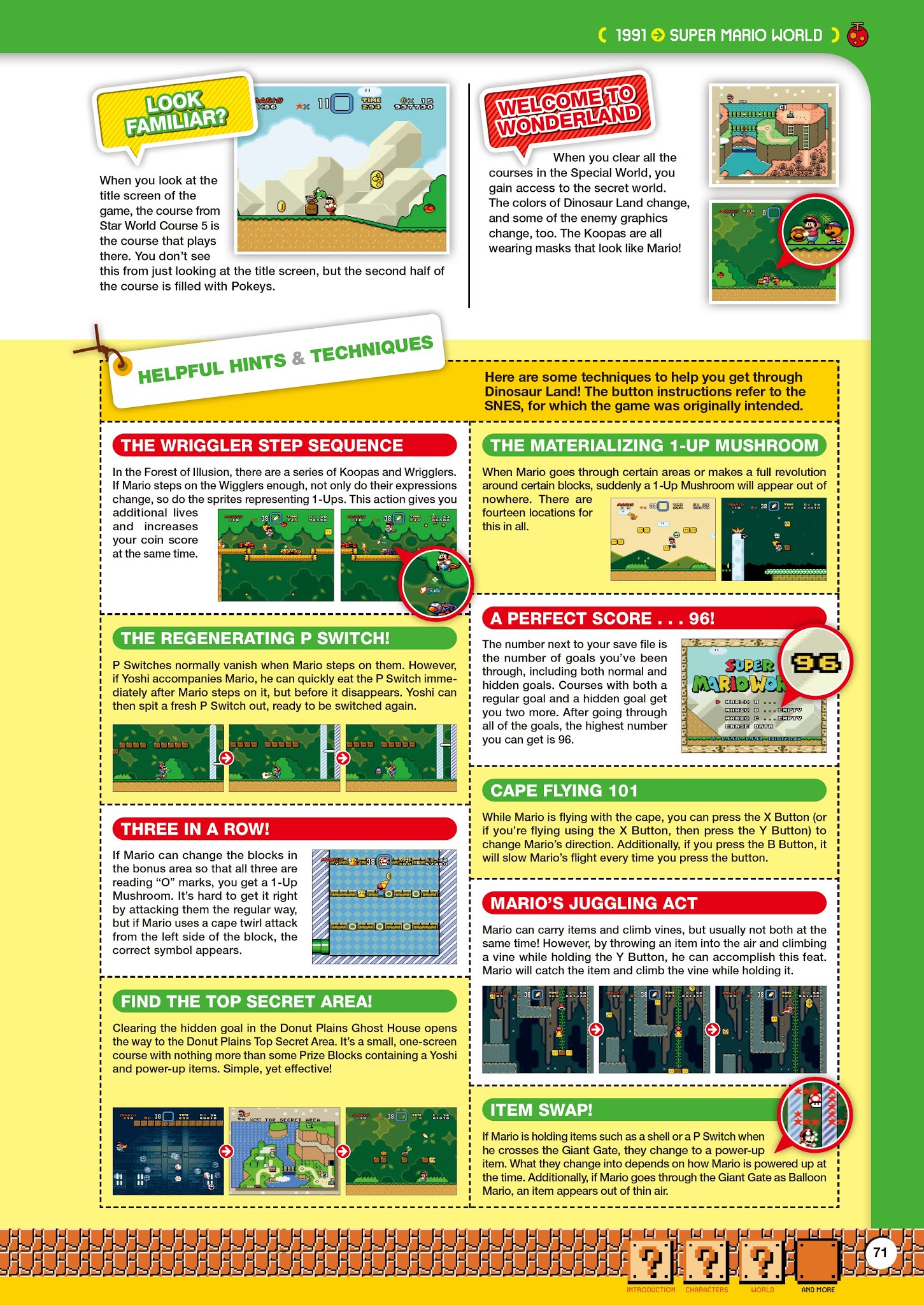 Read online Super Mario Bros. Encyclopedia: The Official Guide to the First 30 Years comic -  Issue # TPB (Part 1) - 72