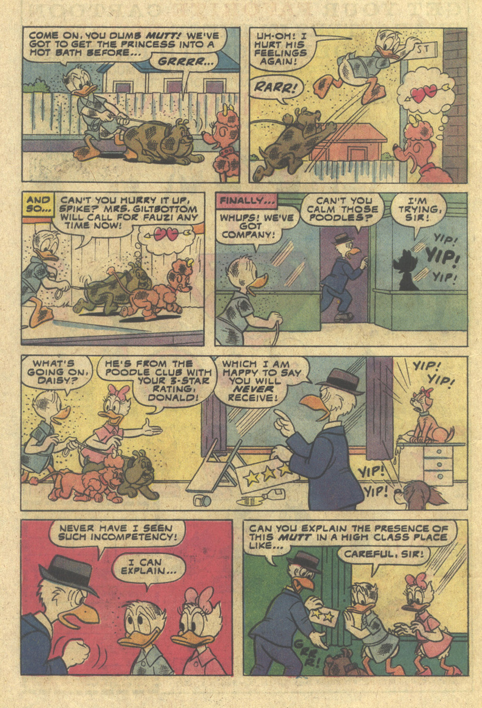 Read online Walt Disney Daisy and Donald comic -  Issue #8 - 8