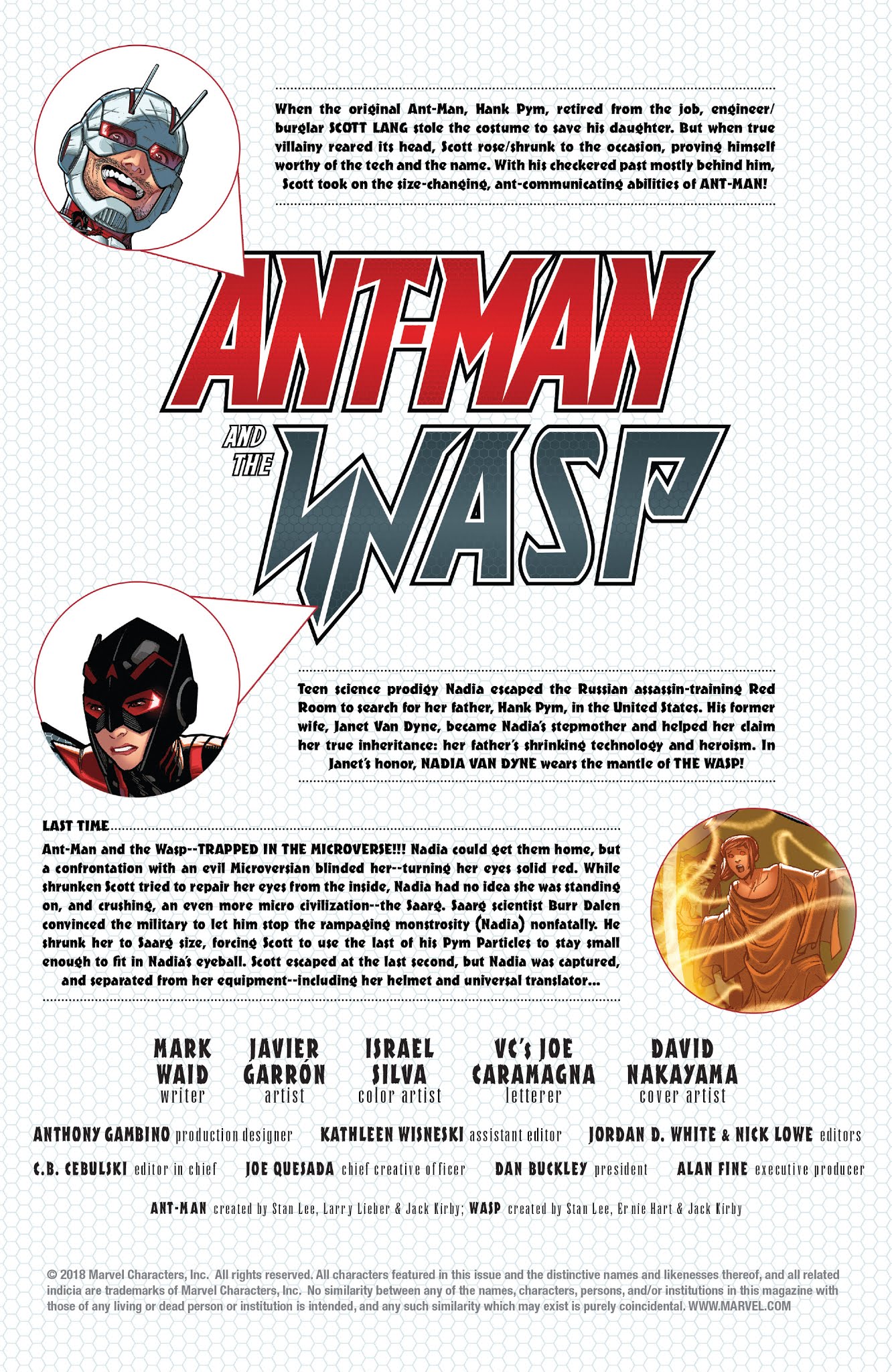 Read online Ant-Man & The Wasp comic -  Issue #3 - 2