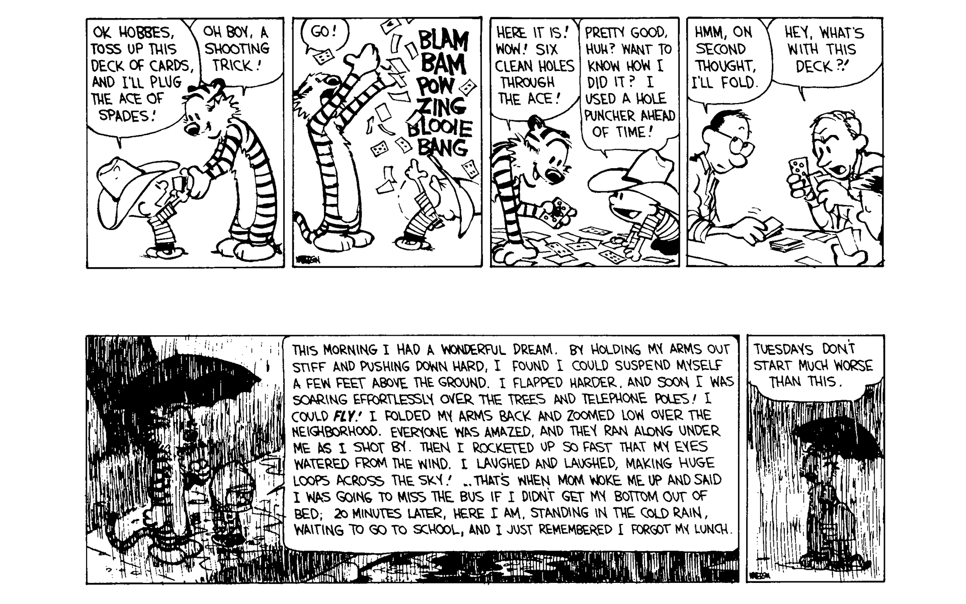 Read online Calvin and Hobbes comic -  Issue #6 - 106