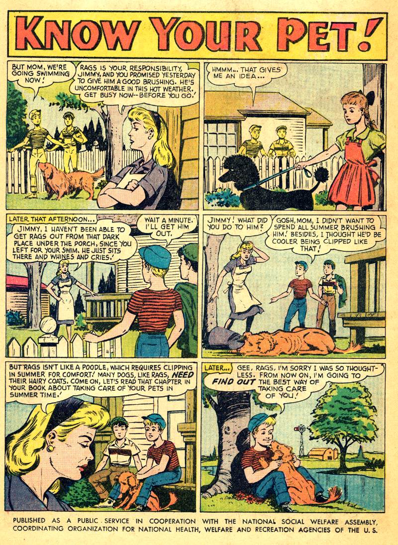 Action Comics (1938) issue 244 - Page 16