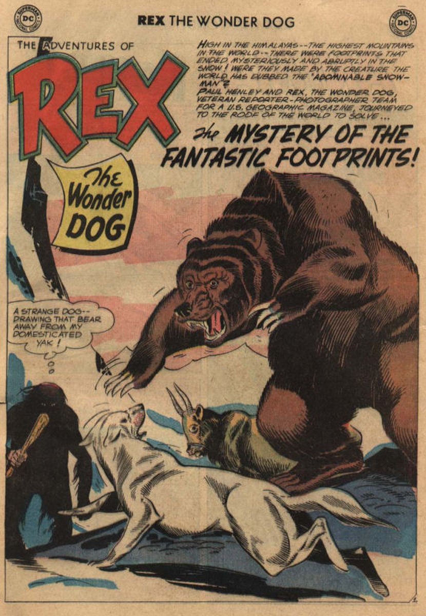 Read online The Adventures of Rex the Wonder Dog comic -  Issue #42 - 25