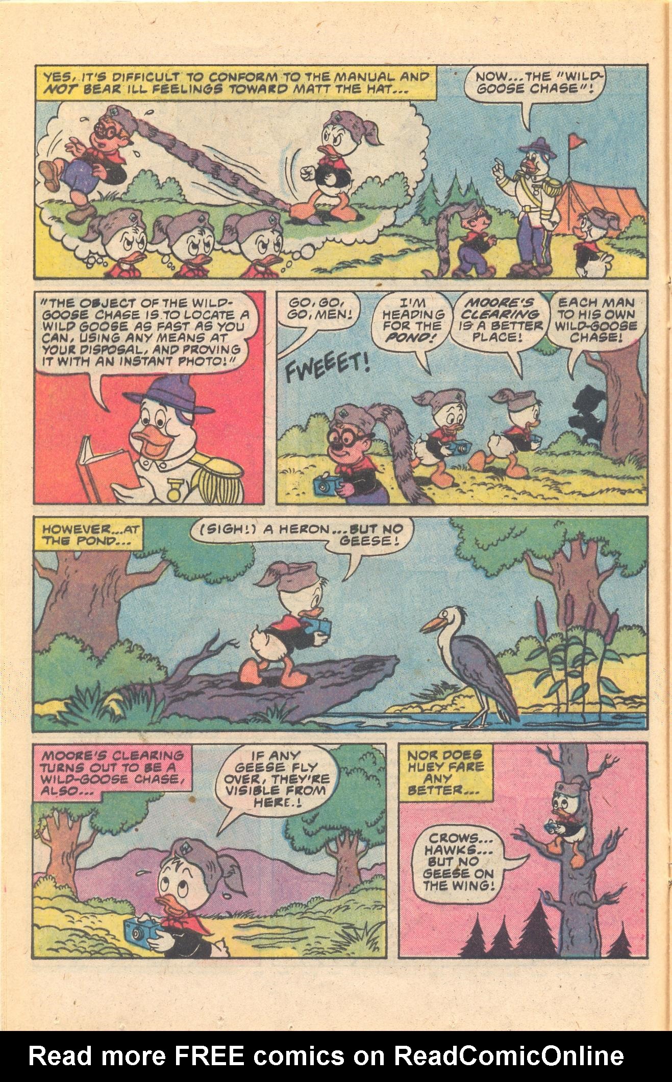 Read online Huey, Dewey, and Louie Junior Woodchucks comic -  Issue #65 - 16