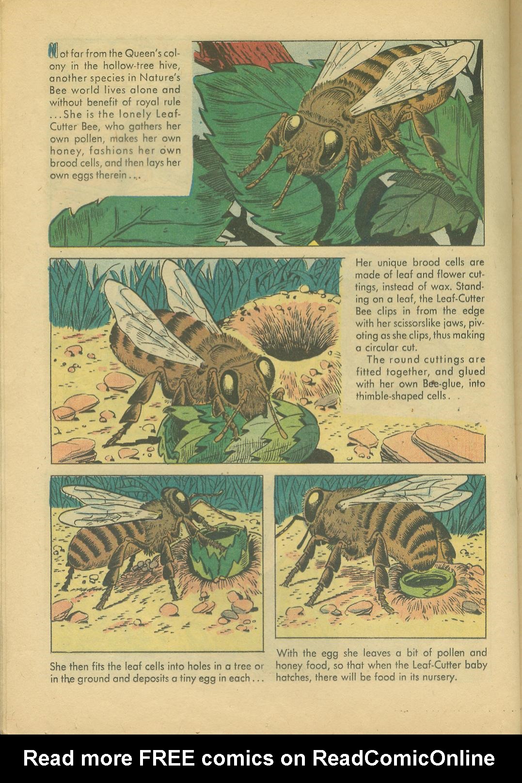 Read online Four Color Comics comic -  Issue #749 - 20