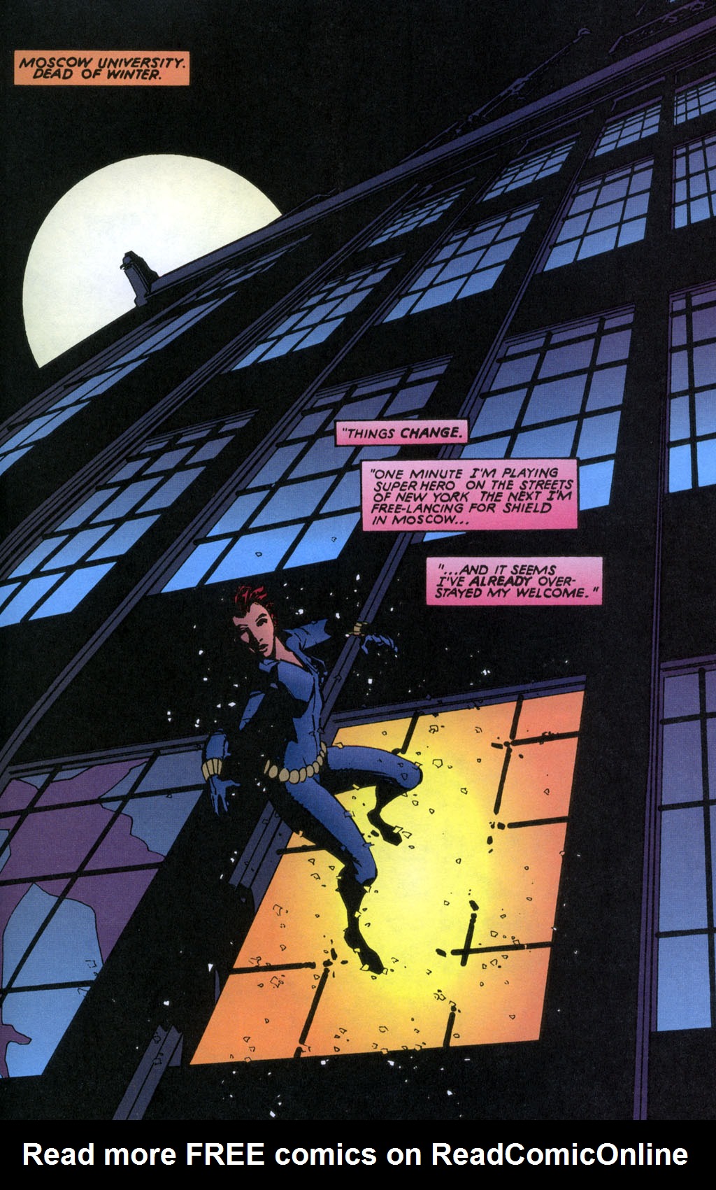 Read online Fury/Black Widow: Death Duty comic -  Issue # Full - 3