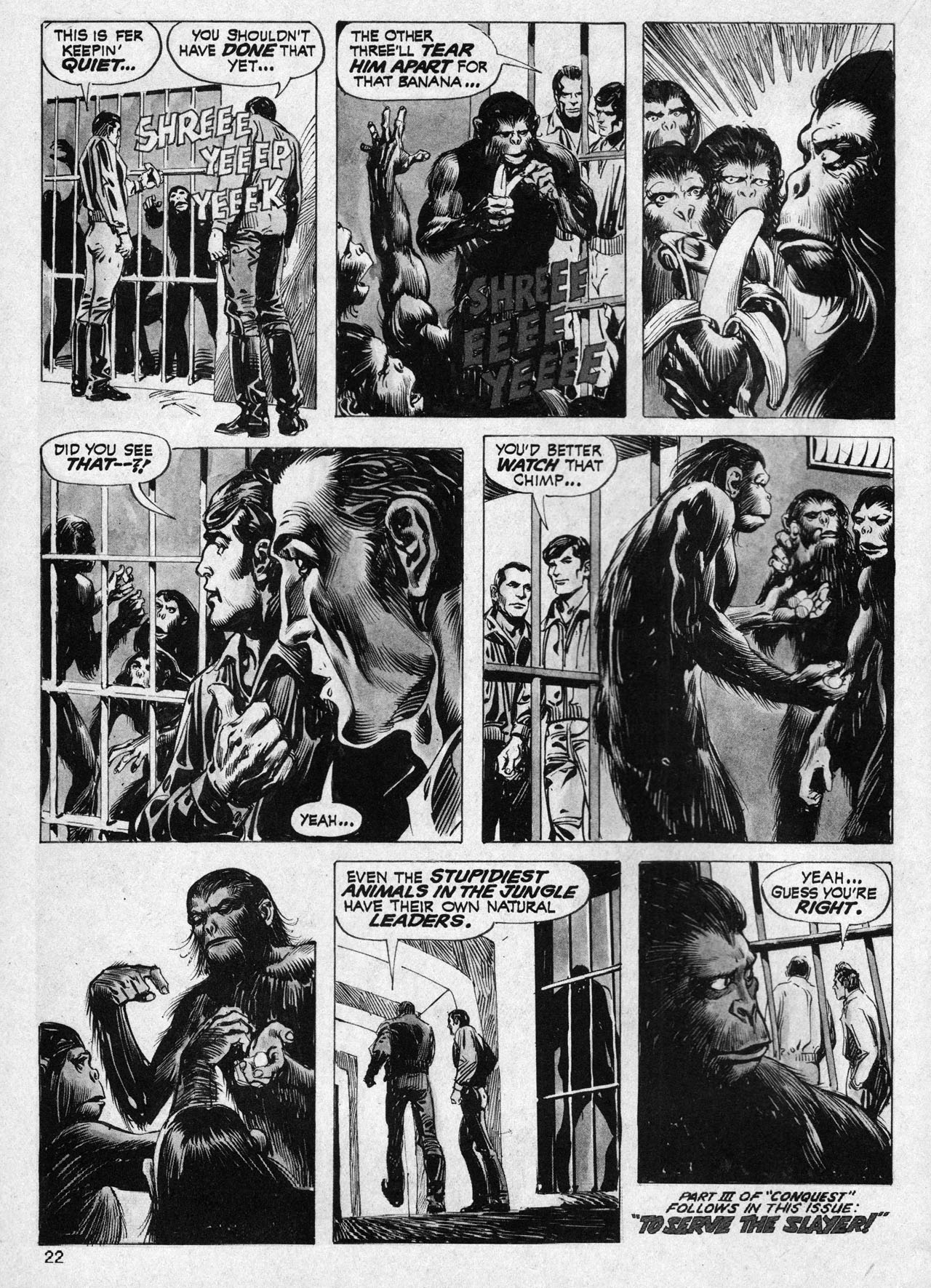 Read online Planet of the Apes comic -  Issue #18 - 24