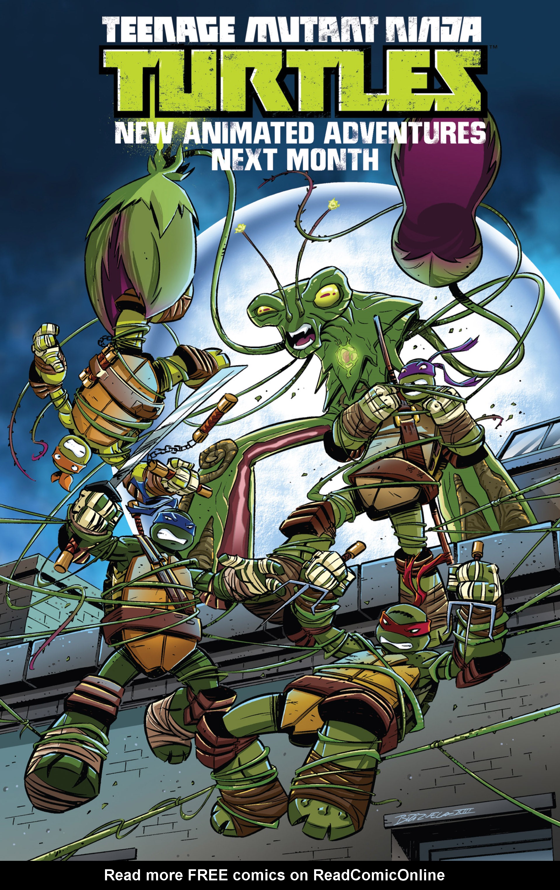 Read online Teenage Mutant Ninja Turtles New Animated Adventures comic -  Issue #1 - 25