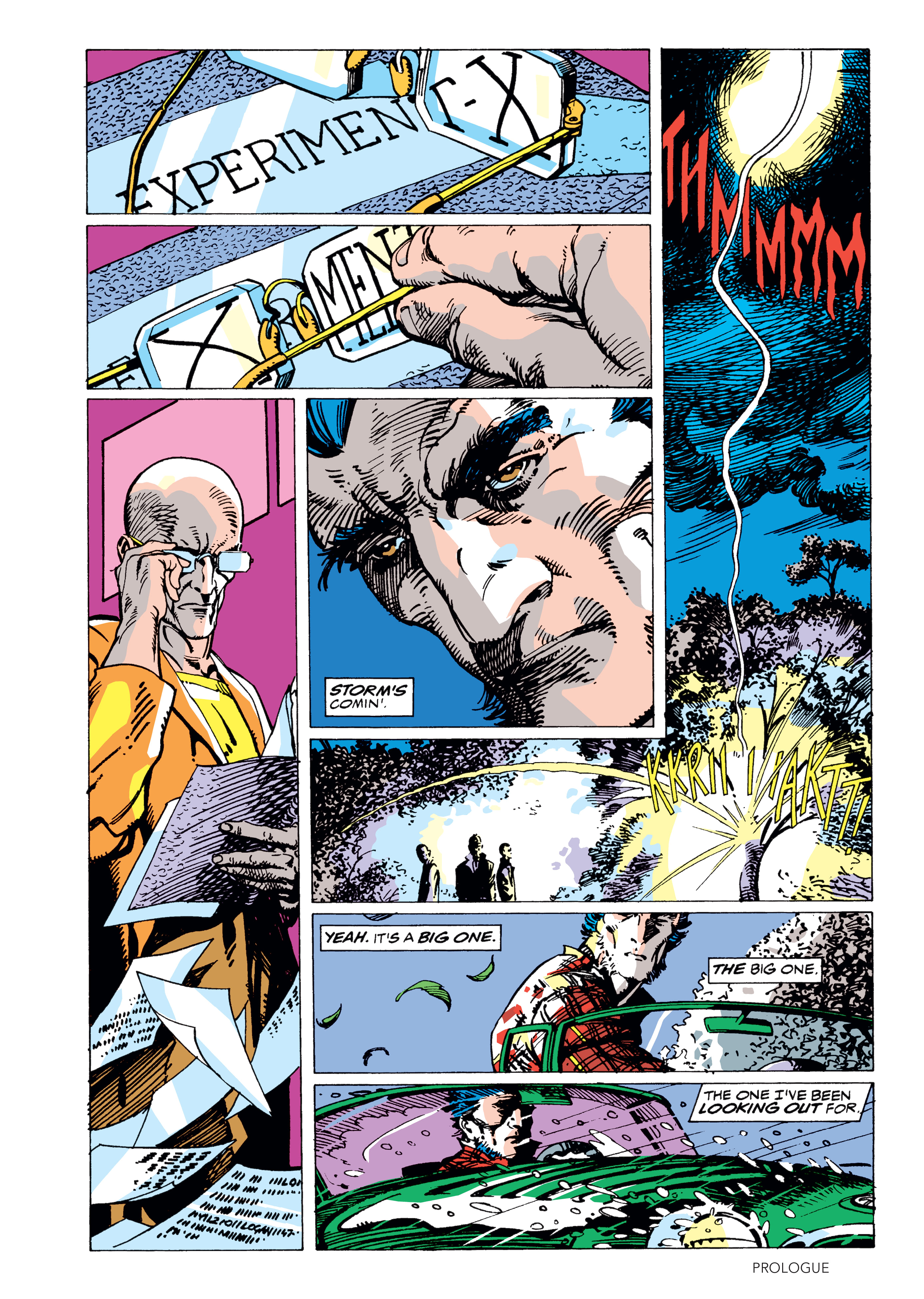 Read online Wolverine: Weapon X Gallery Edition comic -  Issue # TPB (Part 1) - 5