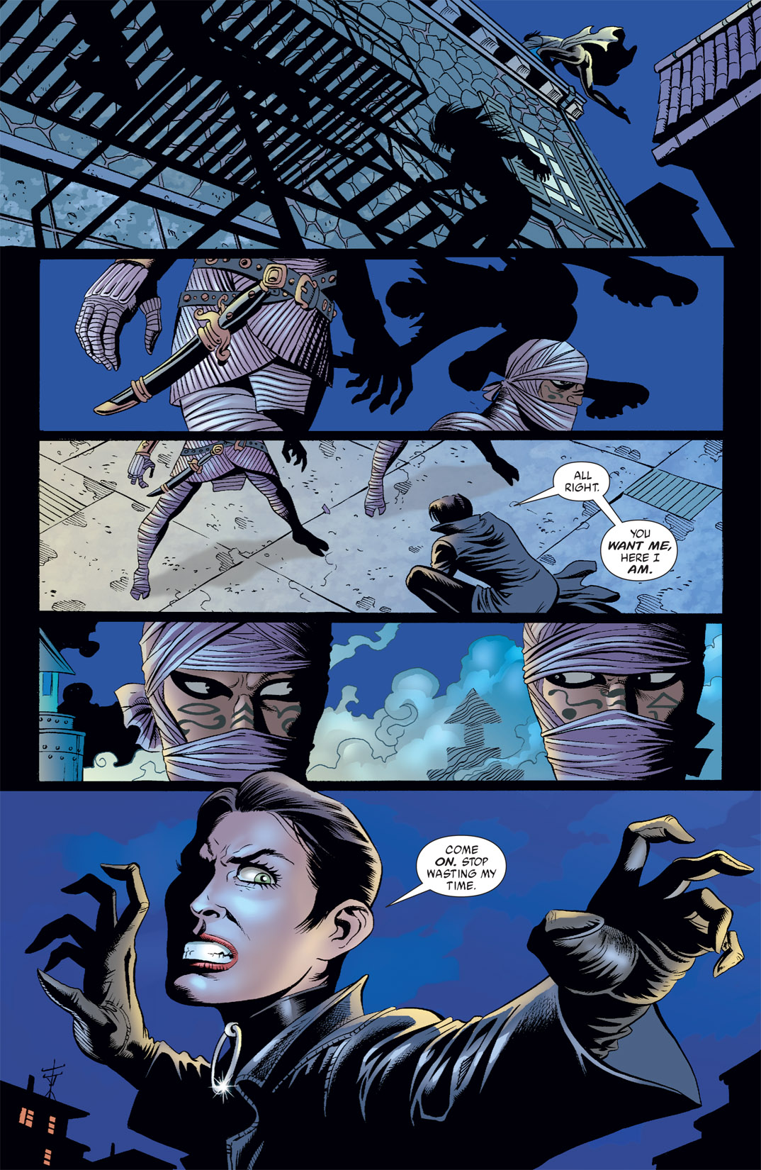 Read online Catwoman (2002) comic -  Issue #29 - 13