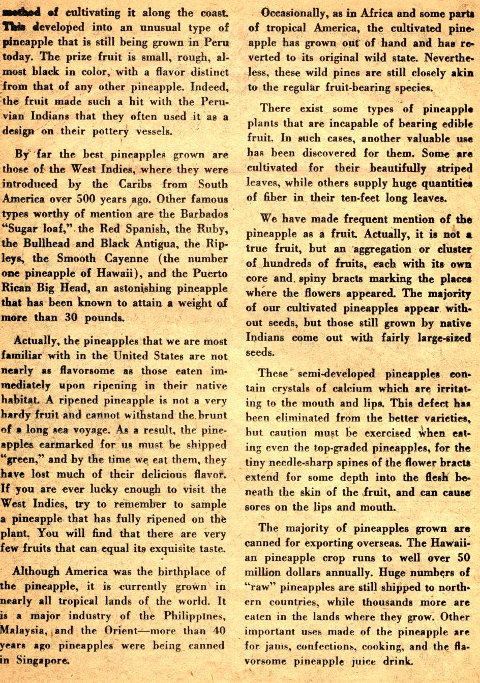 Read online Wonder Woman (1942) comic -  Issue #37 - 32