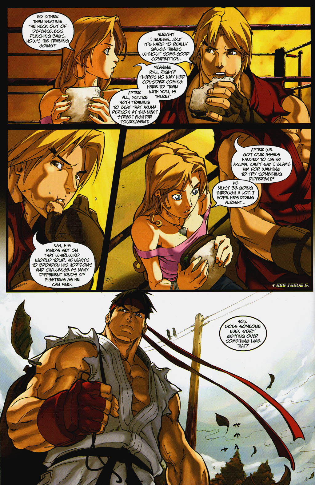 Read online Street Fighter (2003) comic -  Issue #7 - 13