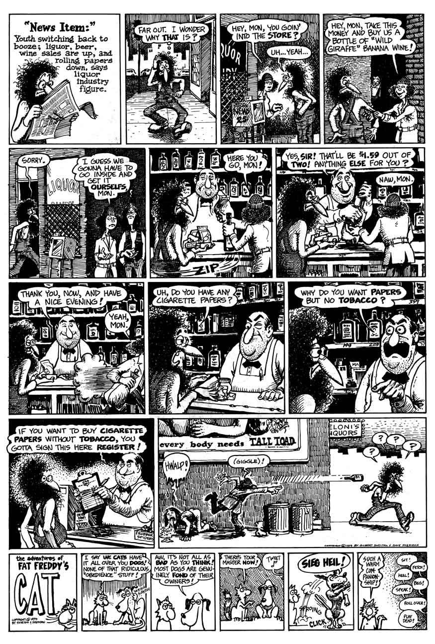 The Fabulous Furry Freak Brothers issue 4 - Page 36