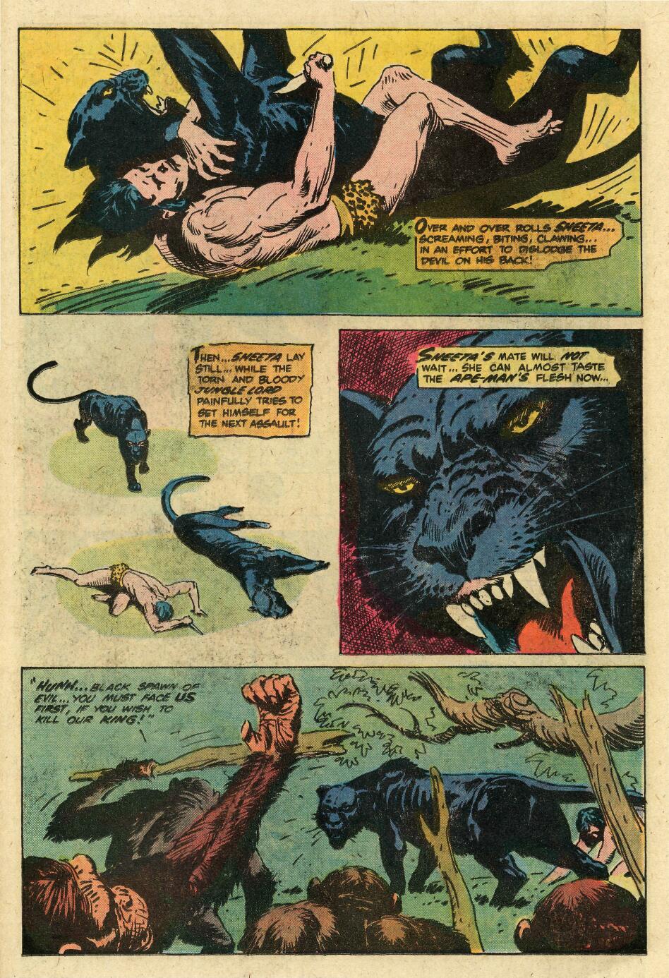 Read online Tarzan (1972) comic -  Issue #253 - 27