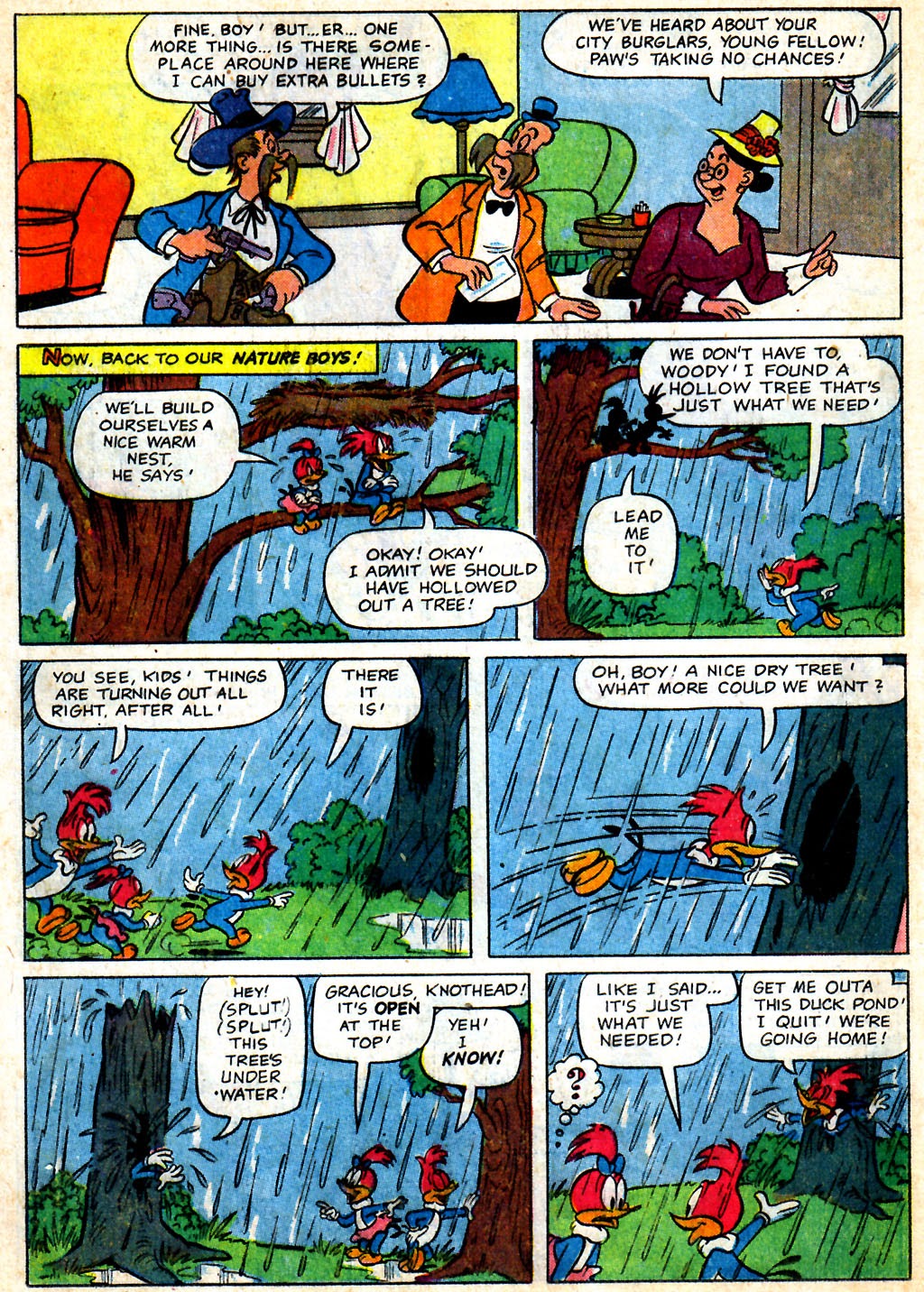 Read online Walter Lantz Woody Woodpecker (1952) comic -  Issue #34 - 12