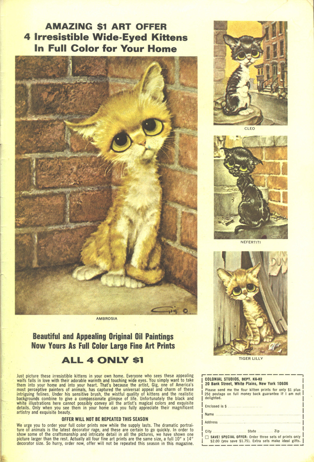 Read online Huey, Dewey, and Louie Junior Woodchucks comic -  Issue #6 - 35