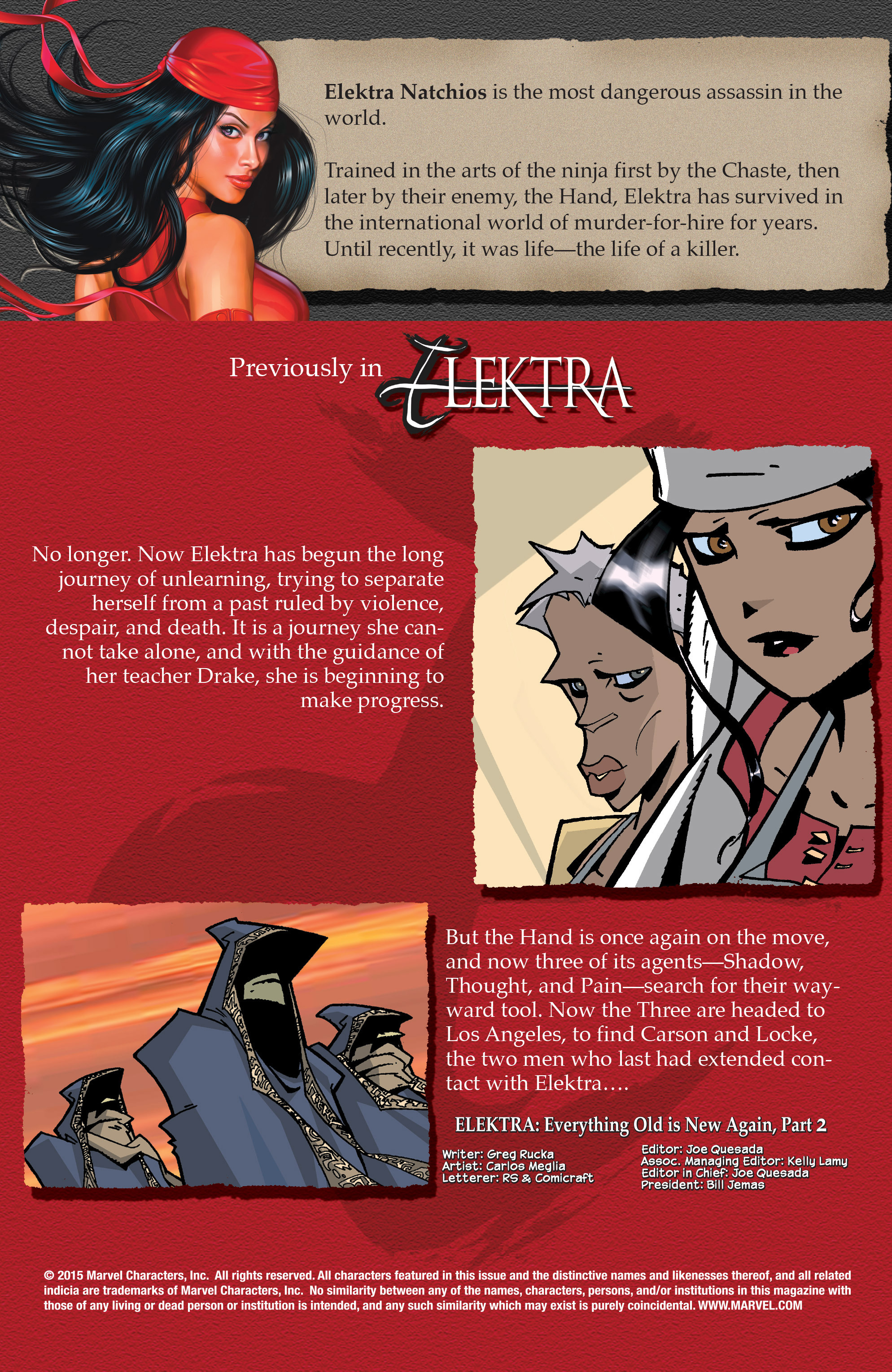 Read online Elektra (2001) comic -  Issue # _TPB Elektra by Greg Rucka Ultimate Collection (Part 3) - 85