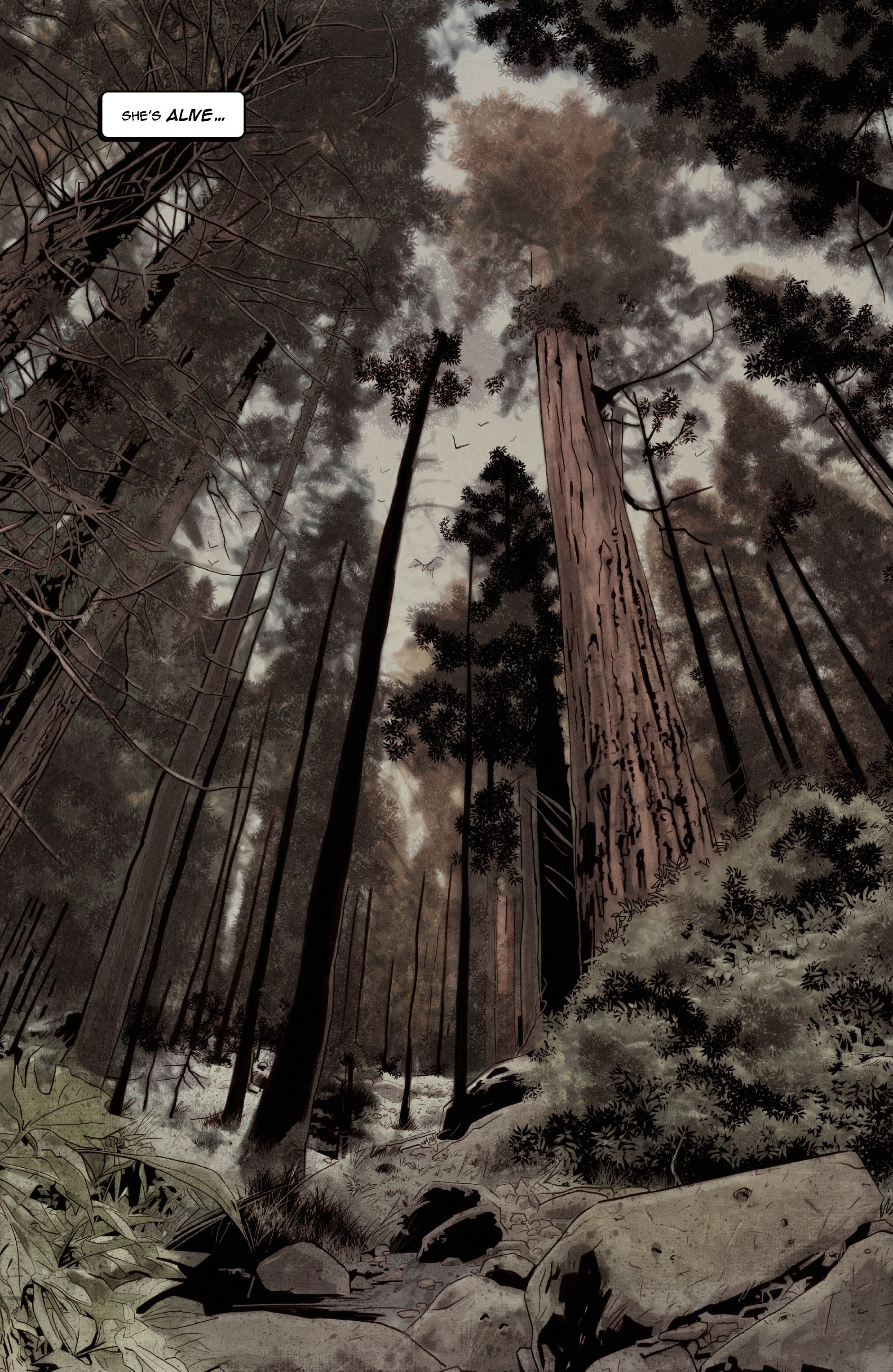 Read online Sunflower (2016) comic -  Issue #5 - 3