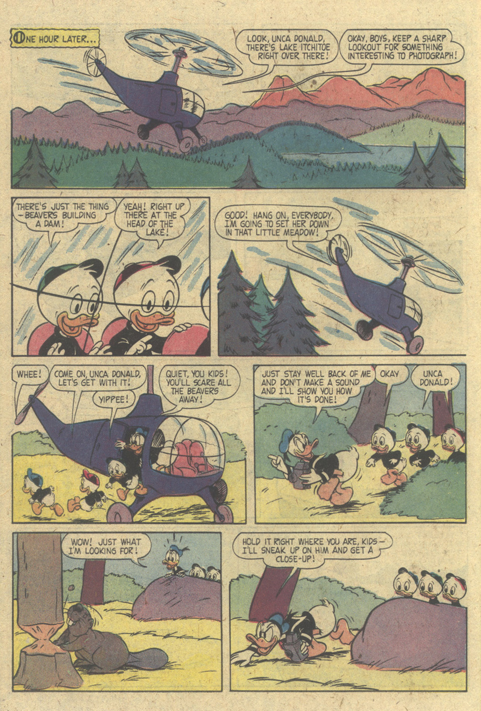 Read online Walt Disney's Donald Duck (1952) comic -  Issue #213 - 22